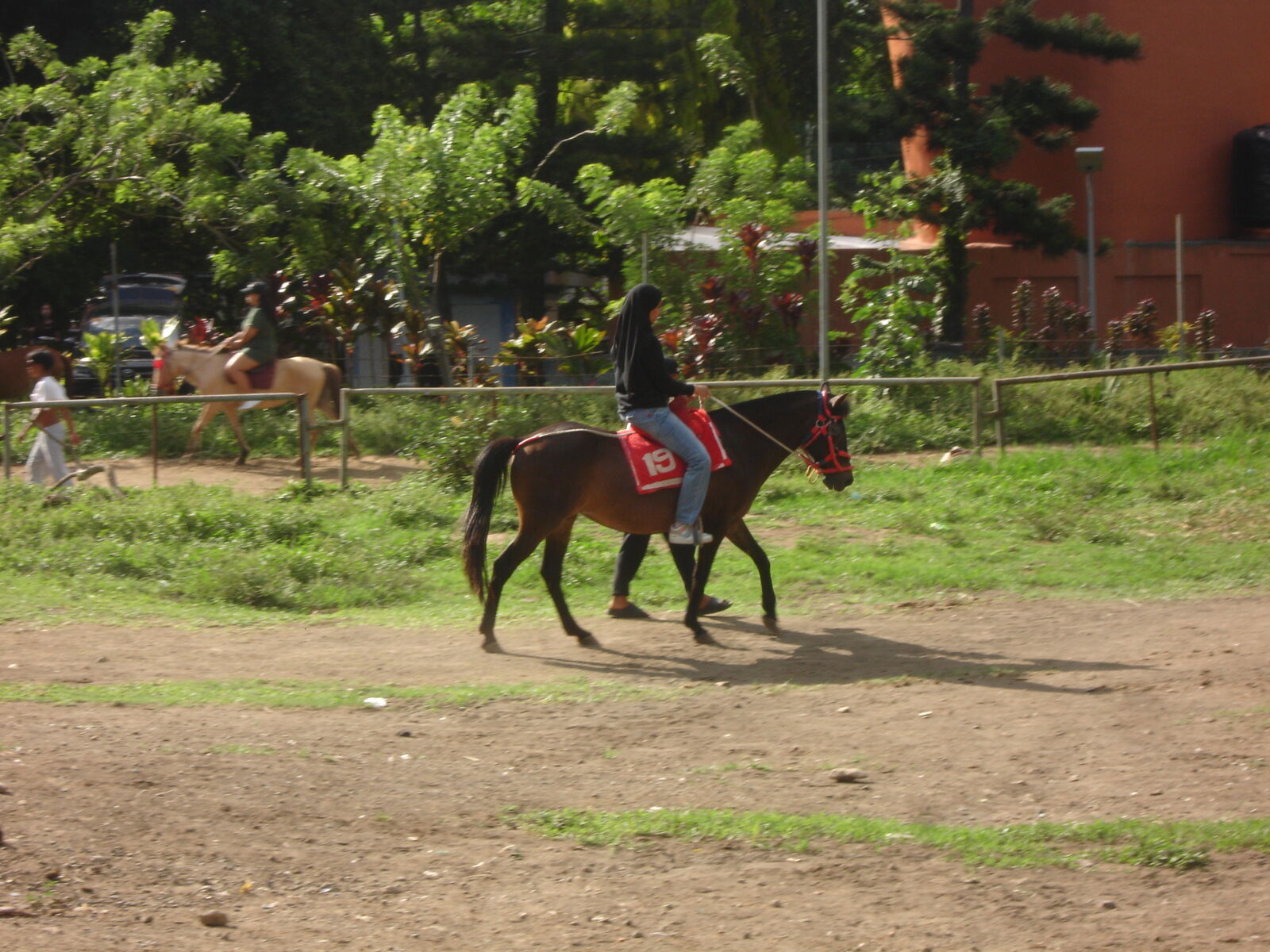 Sony DSC-P200 sample photo. Asu and dagla photography