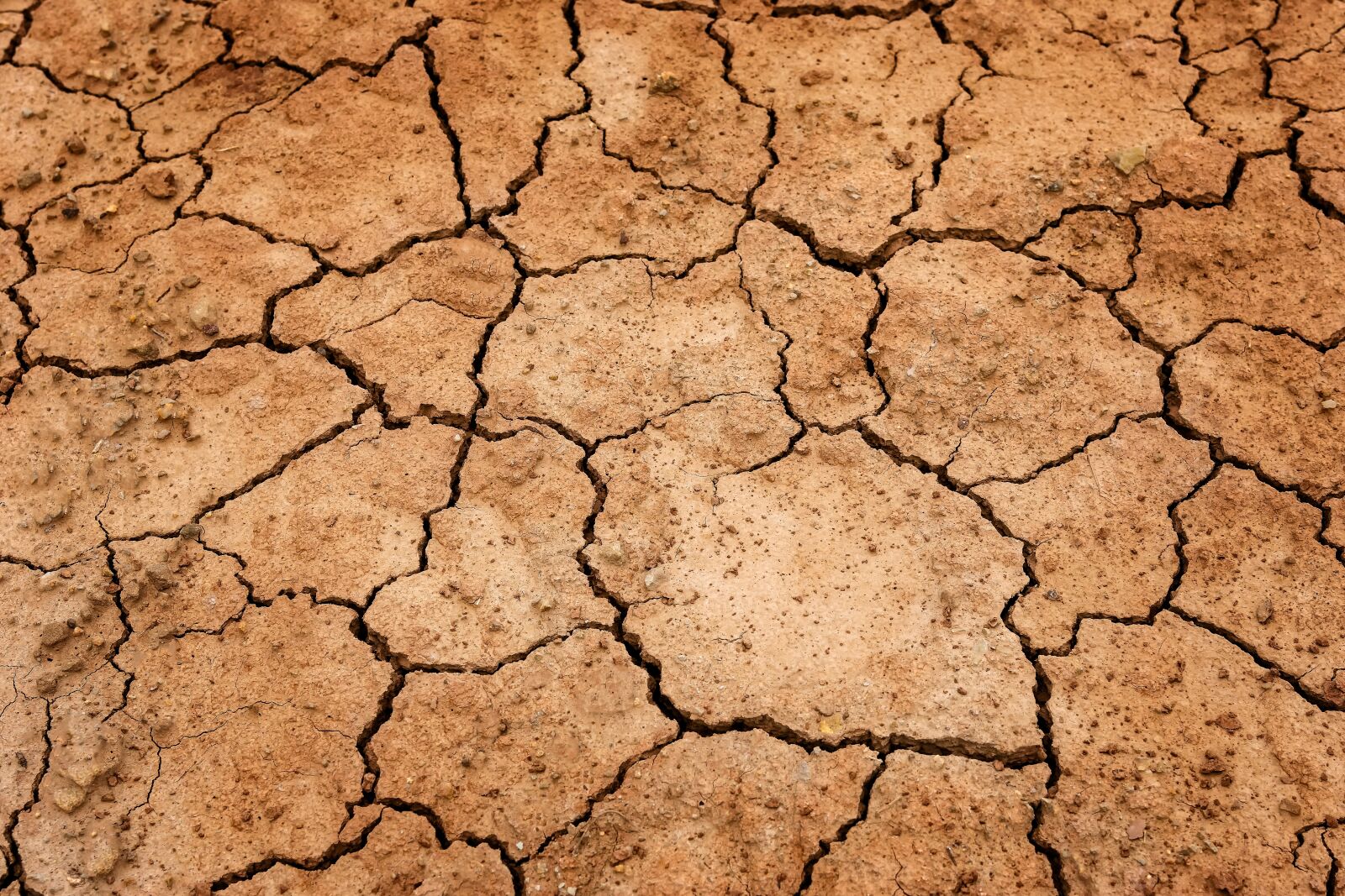Nikon D3300 sample photo. Earth, drought, ground photography
