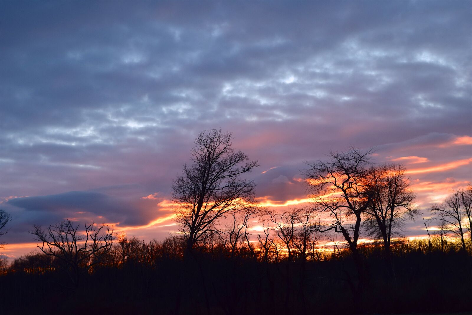 Nikon D3300 sample photo. Sunset, landscape, nature photography