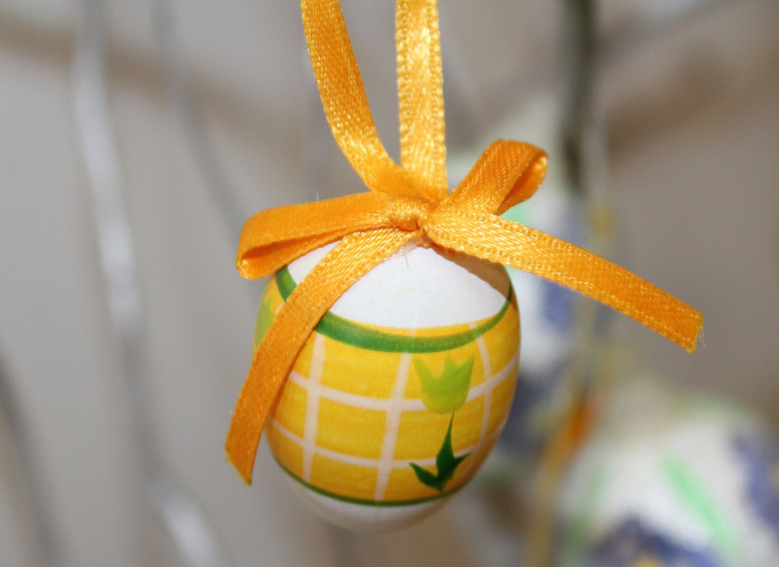 Canon EOS 1200D (EOS Rebel T5 / EOS Kiss X70 / EOS Hi) sample photo. Egg, decoration, the ribbon photography