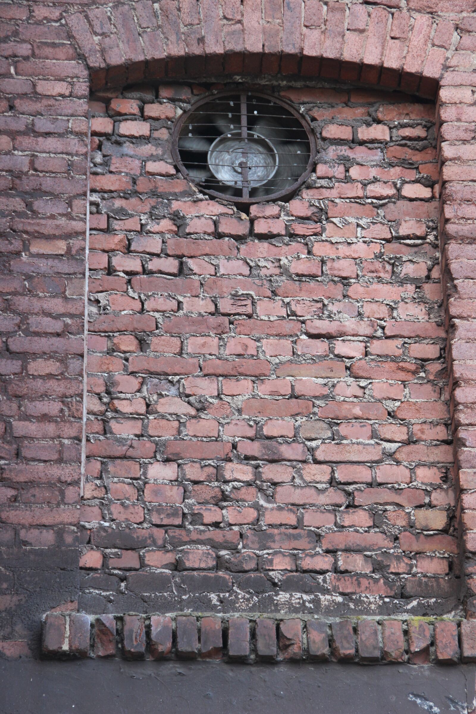 Canon EOS 600D (Rebel EOS T3i / EOS Kiss X5) sample photo. Structure, pattern, background photography