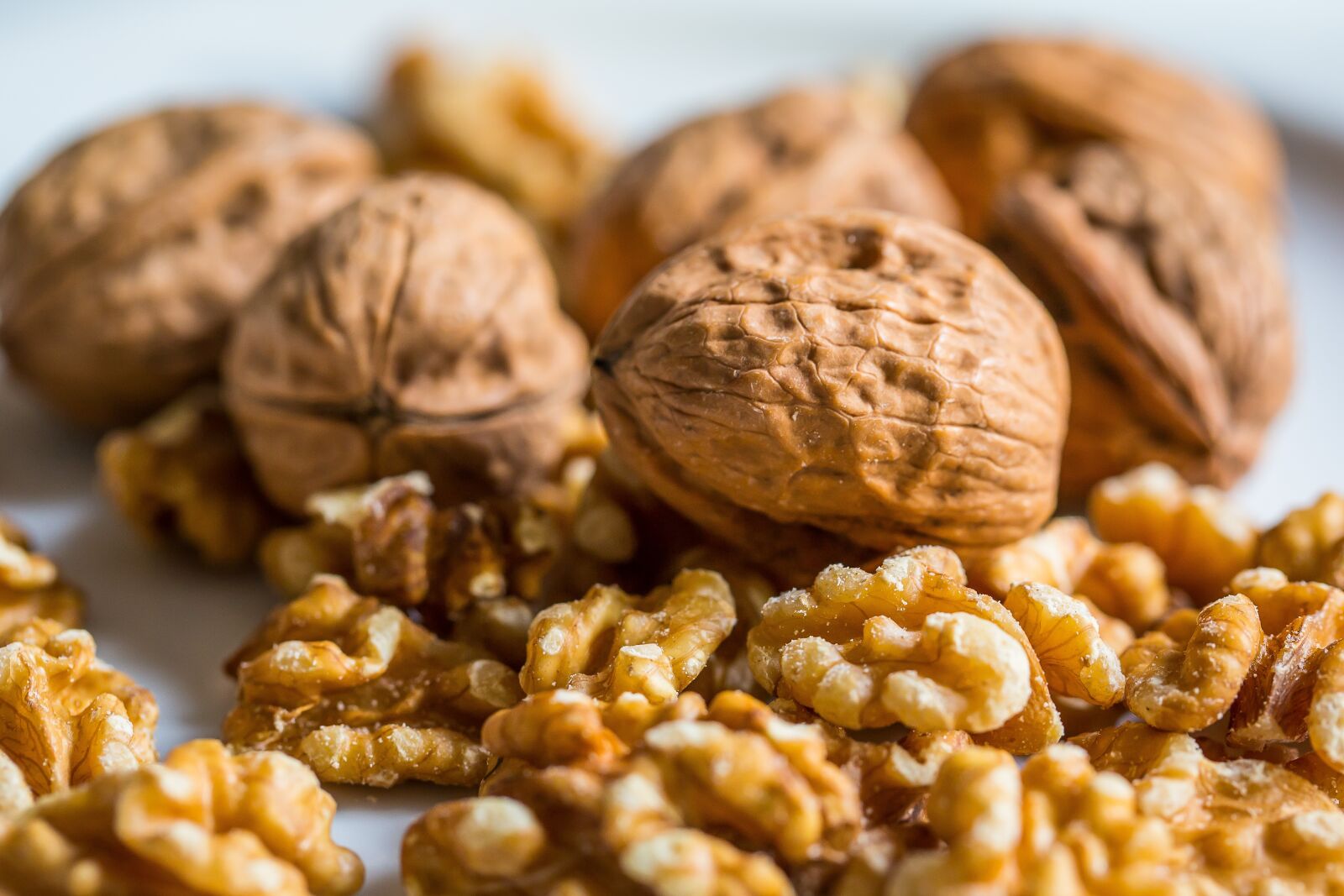 Canon EF 100mm F2.8L Macro IS USM sample photo. Walnut, nut, walnuts photography