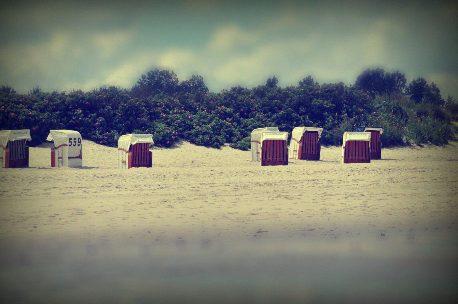 Nikon D5000 sample photo. Beach, clubs, north sea photography