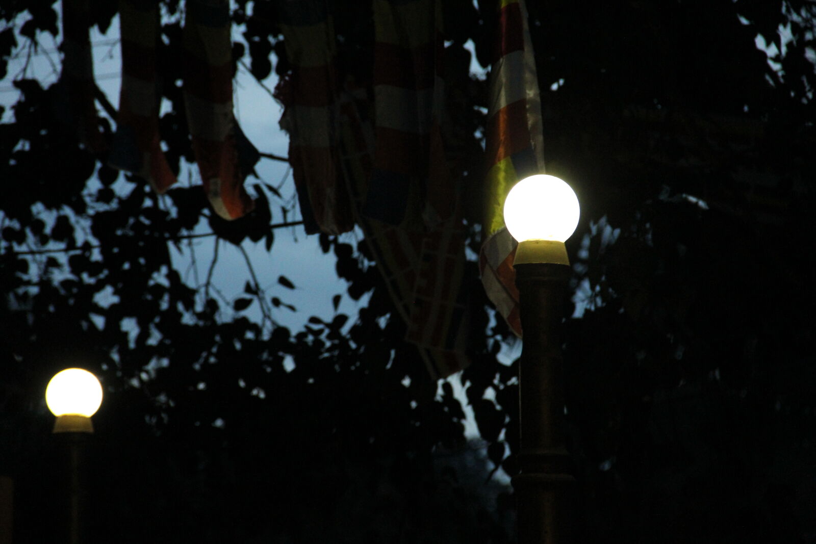 Canon EF-S 18-135mm F3.5-5.6 IS sample photo. Light, bulbs photography