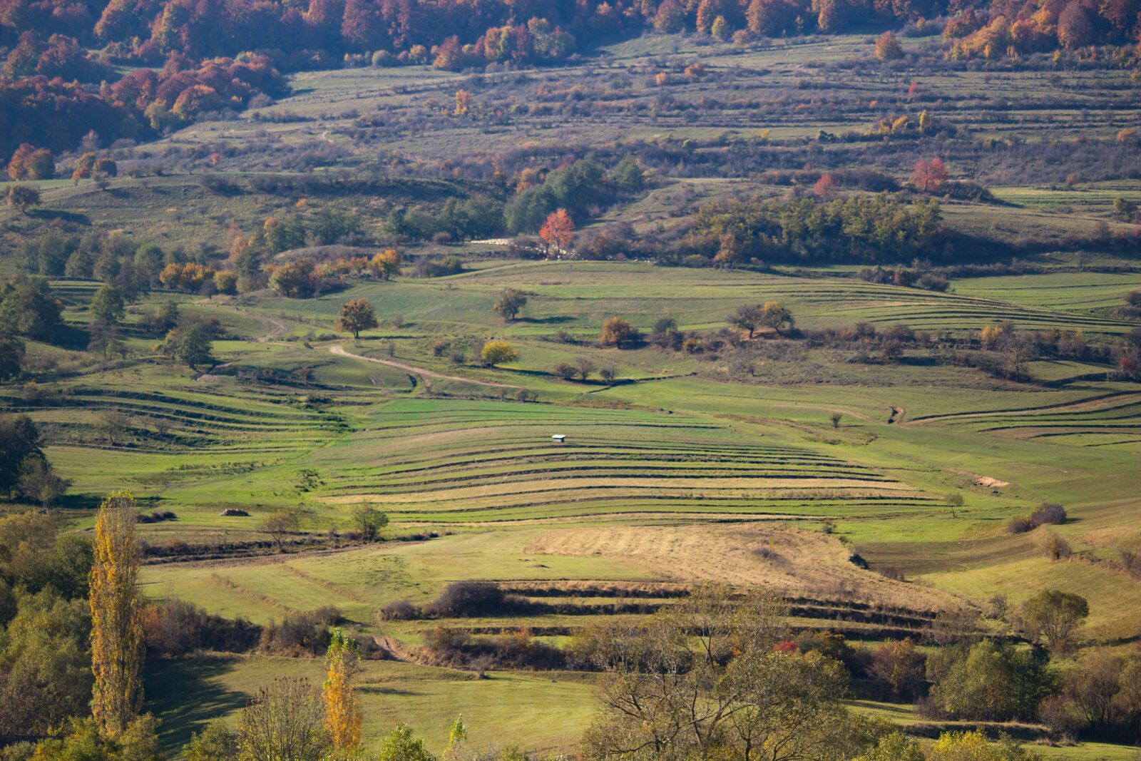 Canon EOS 100D (EOS Rebel SL1 / EOS Kiss X7) sample photo. Transylvania, romania, harghita photography