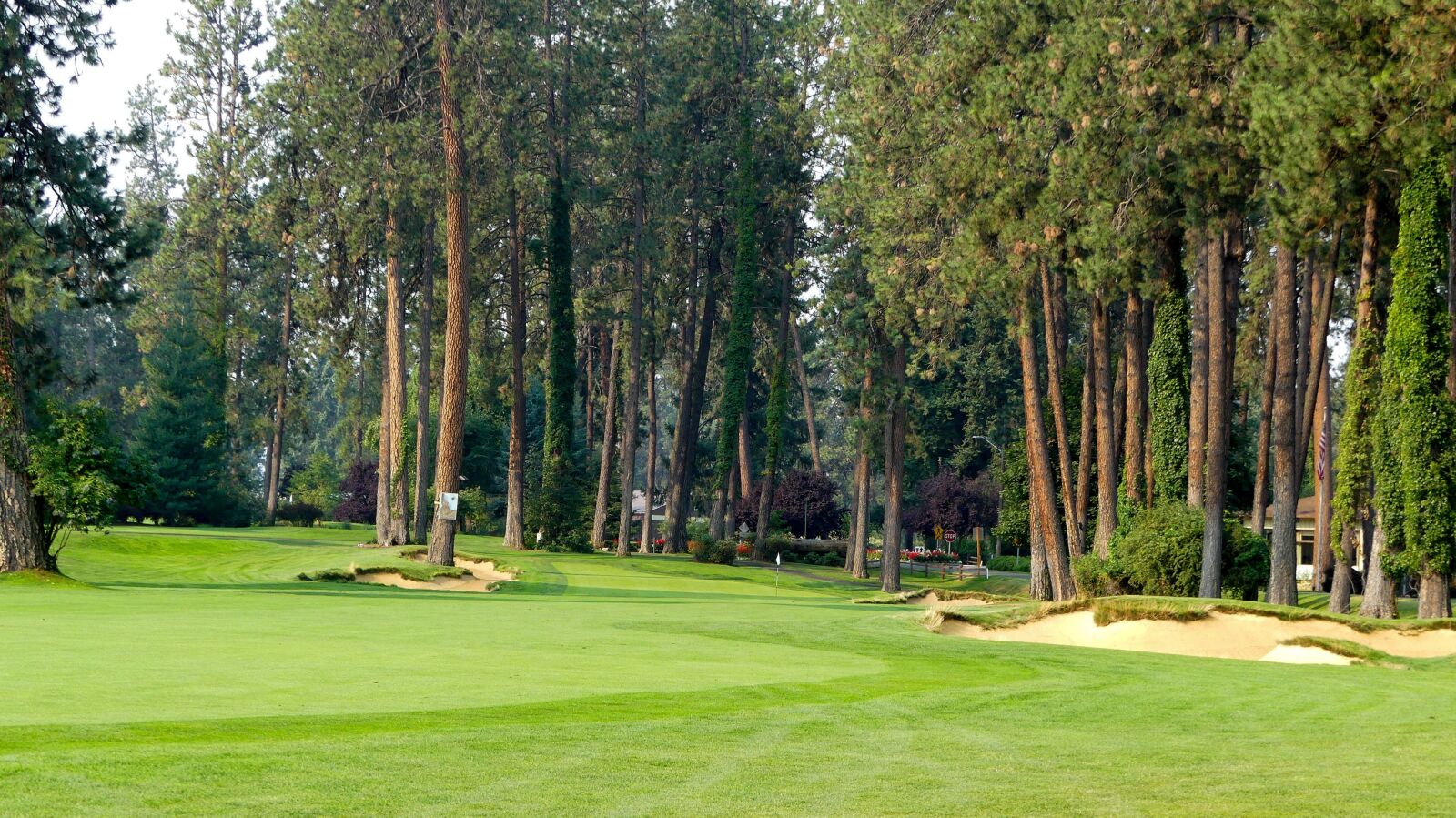 Panasonic Lumix DMC-FZ300 sample photo. Golf, trees, outdoors photography