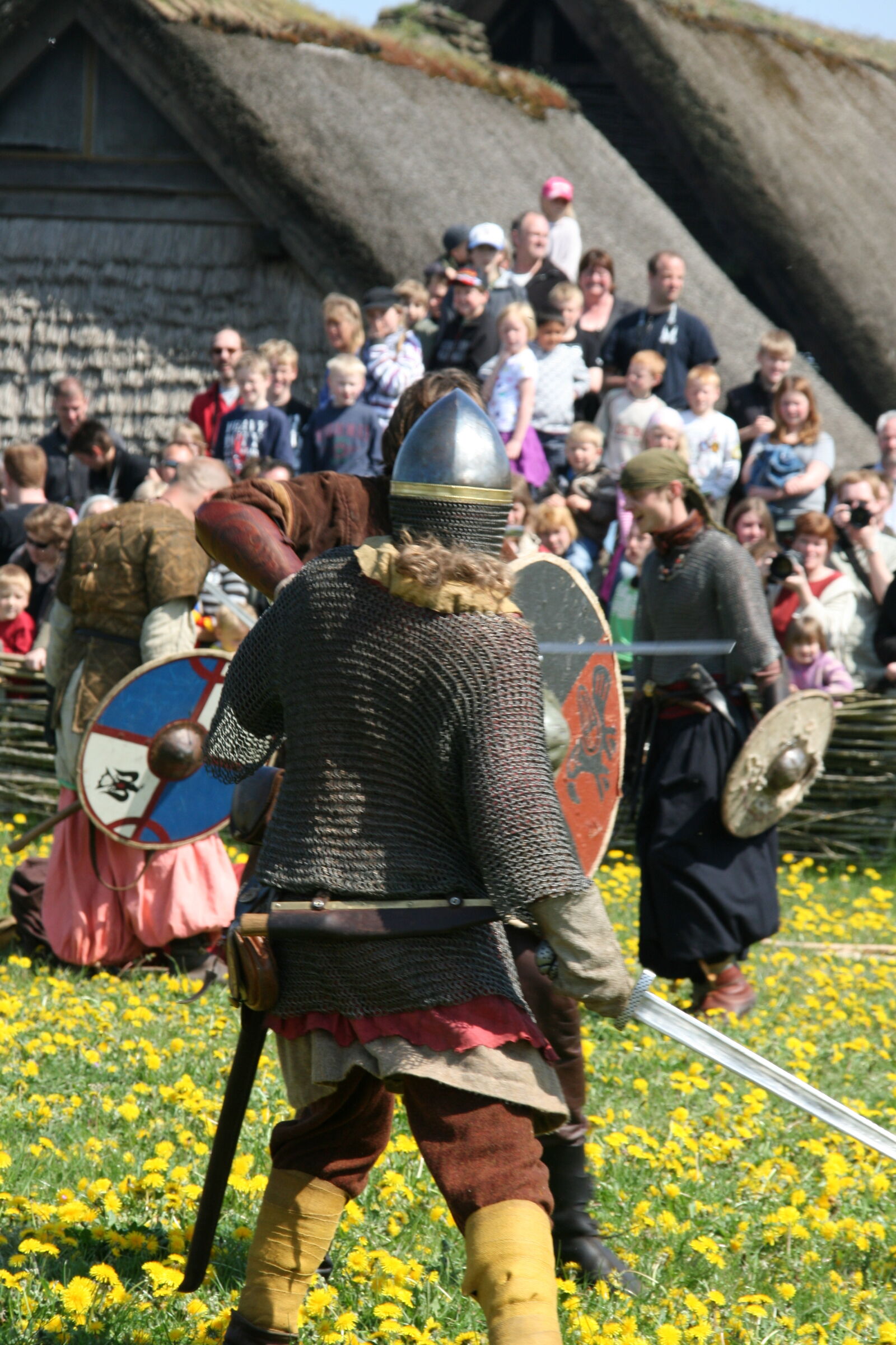 Sigma 18-200mm f/3.5-6.3 DC OS sample photo. Vikings photography