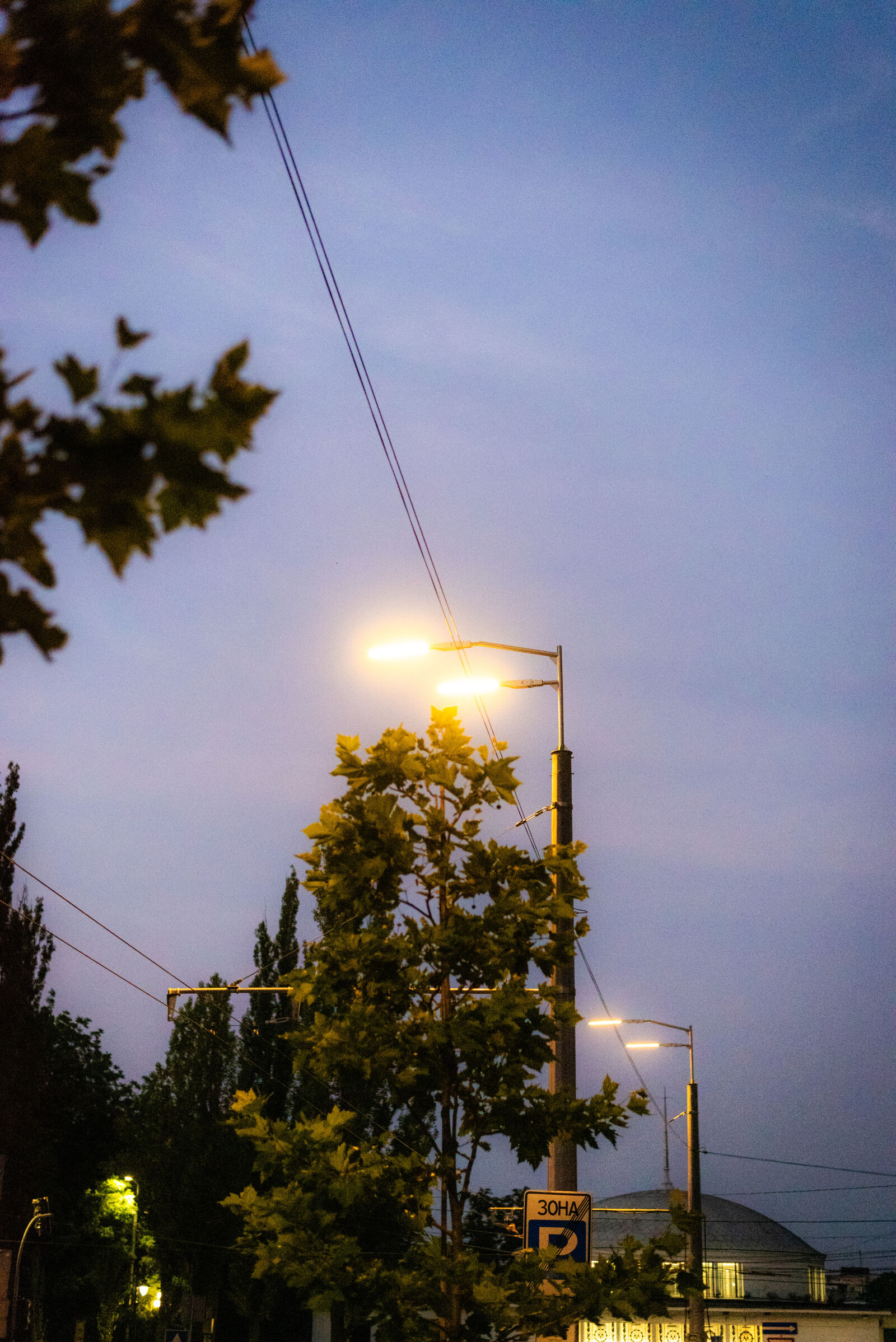 Nikon D750 + Nikon AF-S Nikkor 50mm F1.8G sample photo