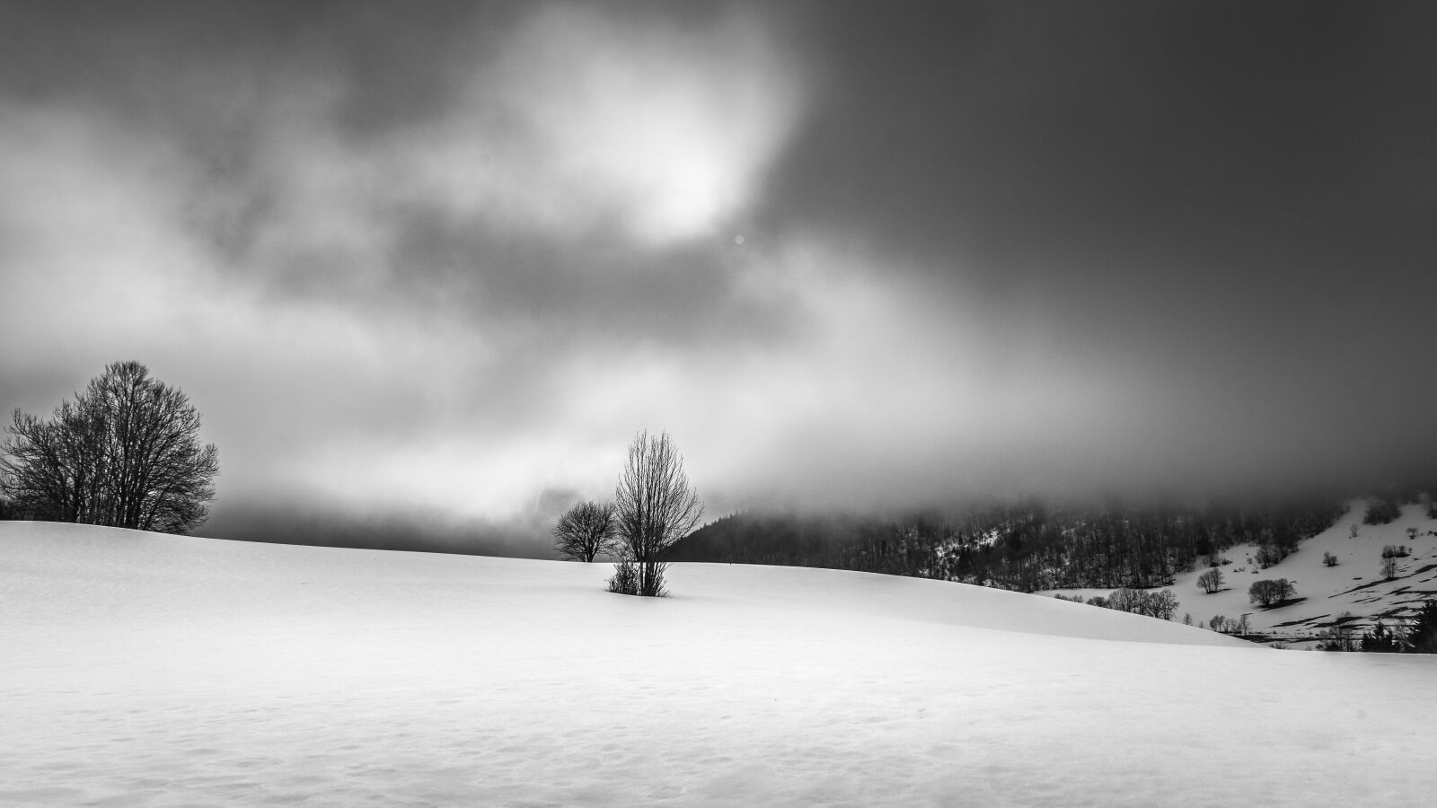 Nikon D750 sample photo. Landscape, winter, nature photography