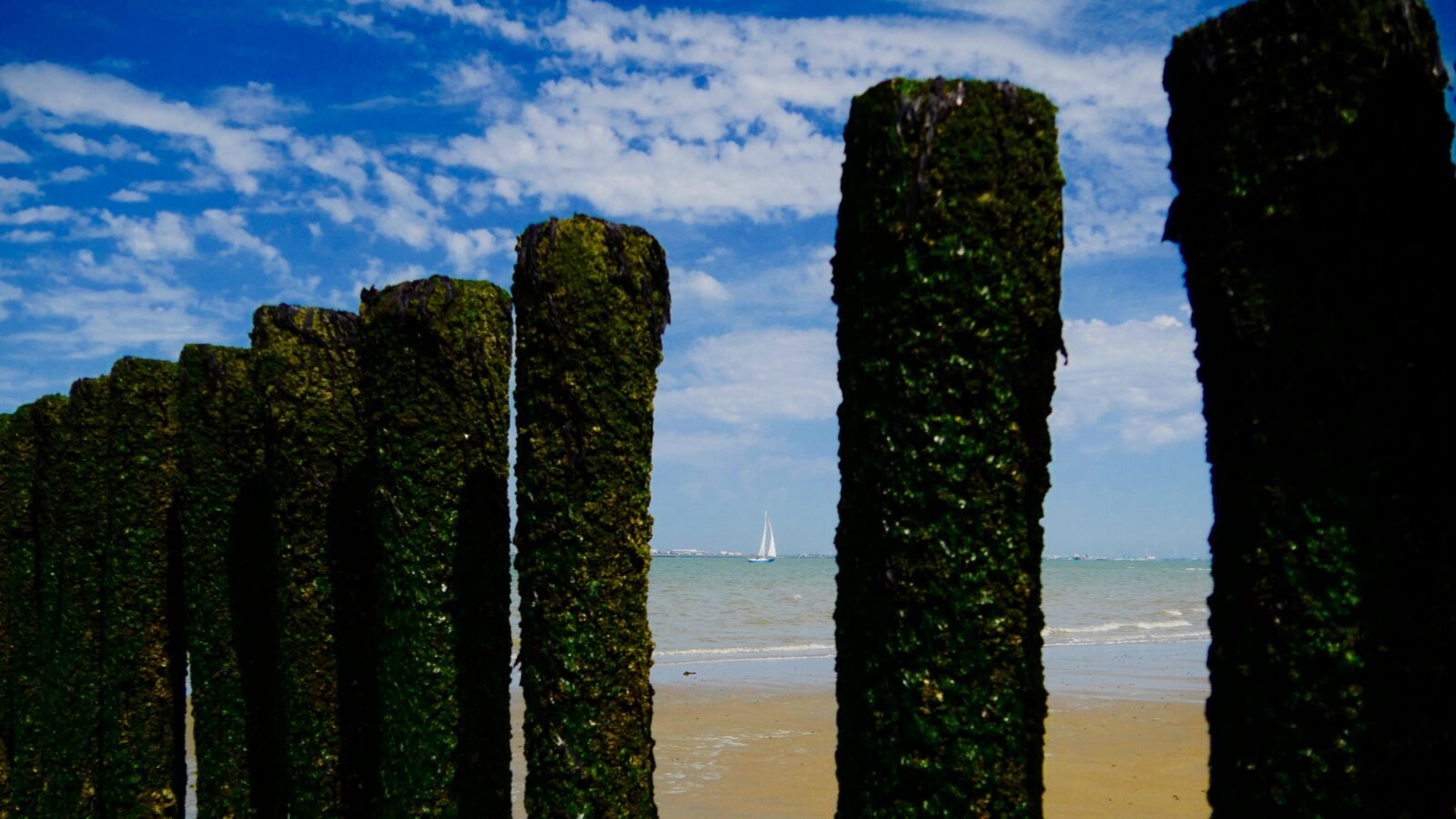 Panasonic Lumix DMC-GH4 sample photo. Beach, sailing boat, sea photography