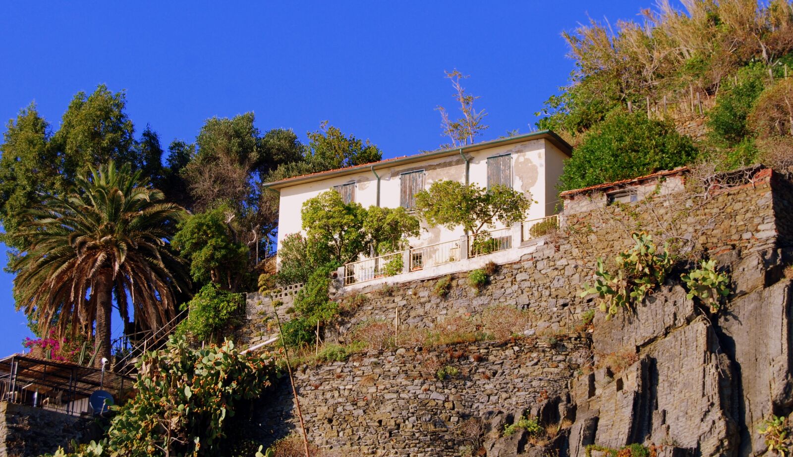 Nikon D60 sample photo. House, rock, green photography