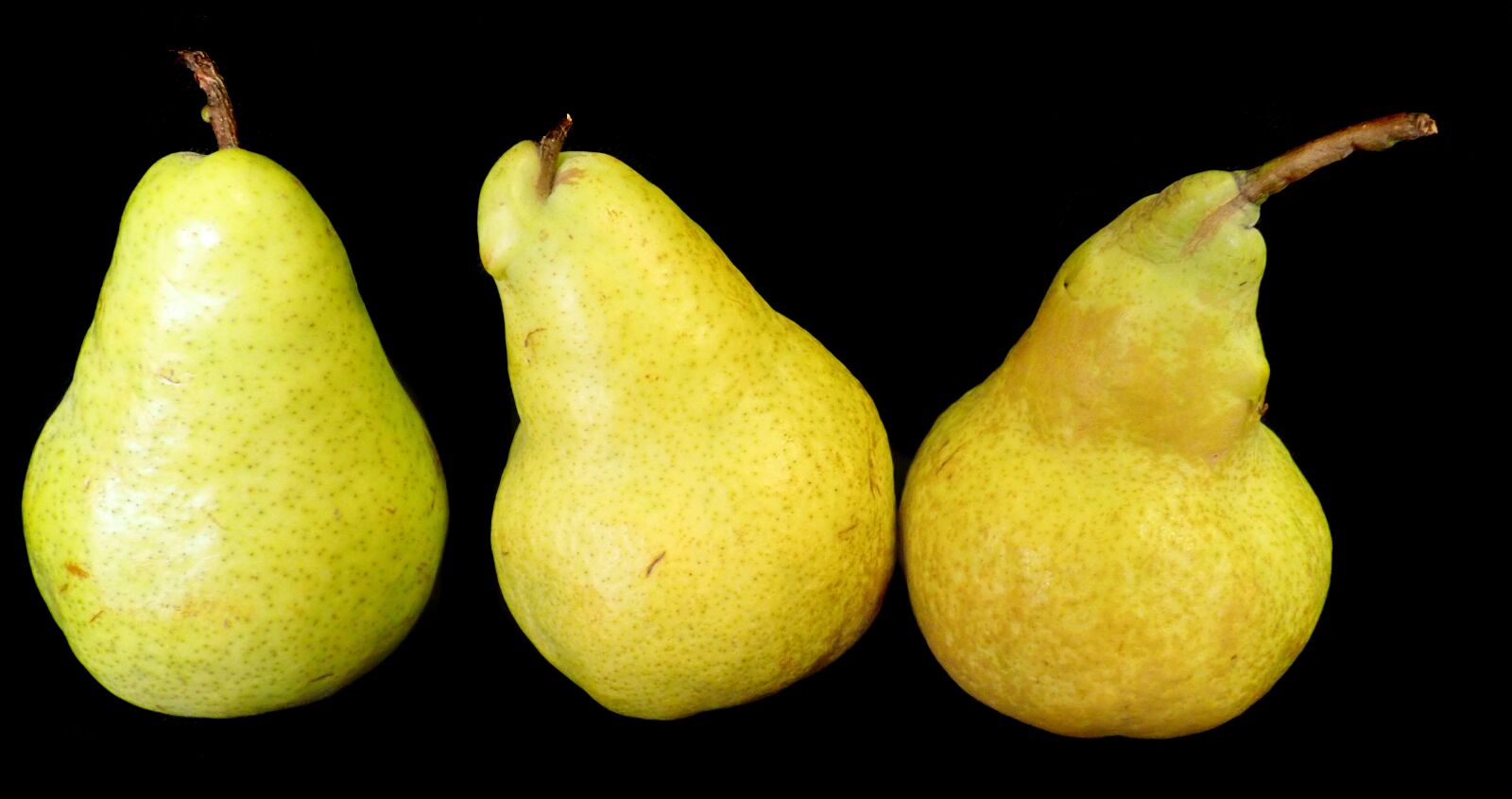 Olympus TG-5 sample photo. Pears, ripe, fruit photography