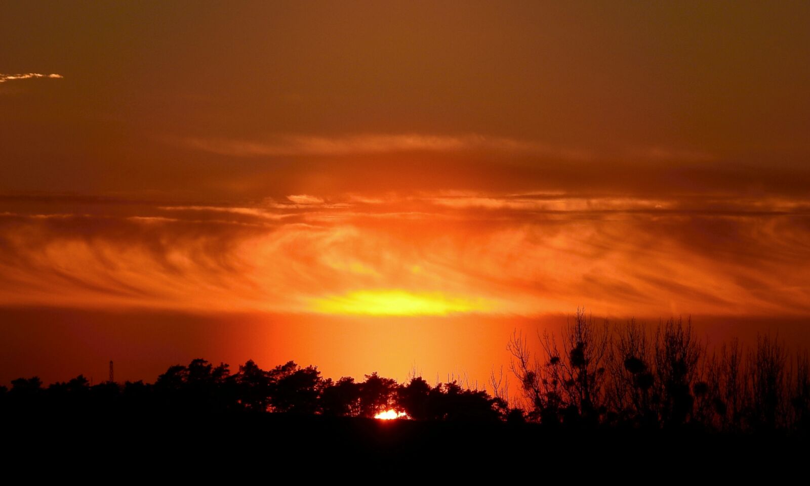 Nikon Coolpix P900 sample photo. Sunset, landscape, tree photography