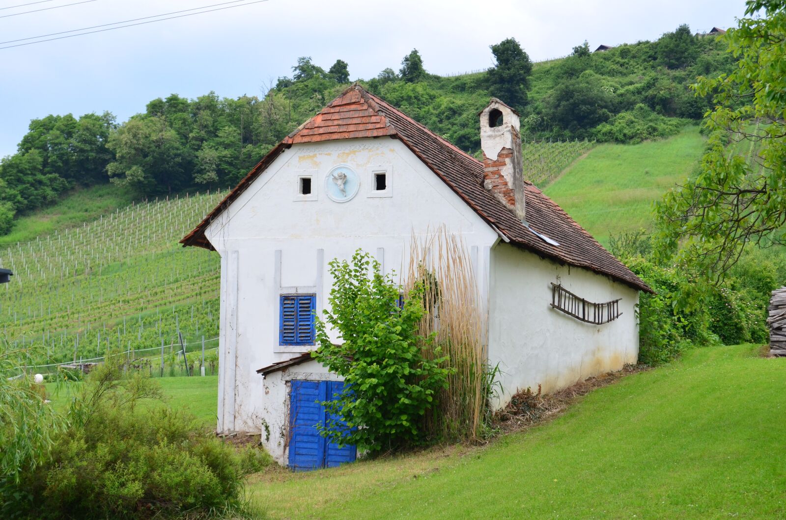Nikon D5100 sample photo. Building, vineyard, cellar photography