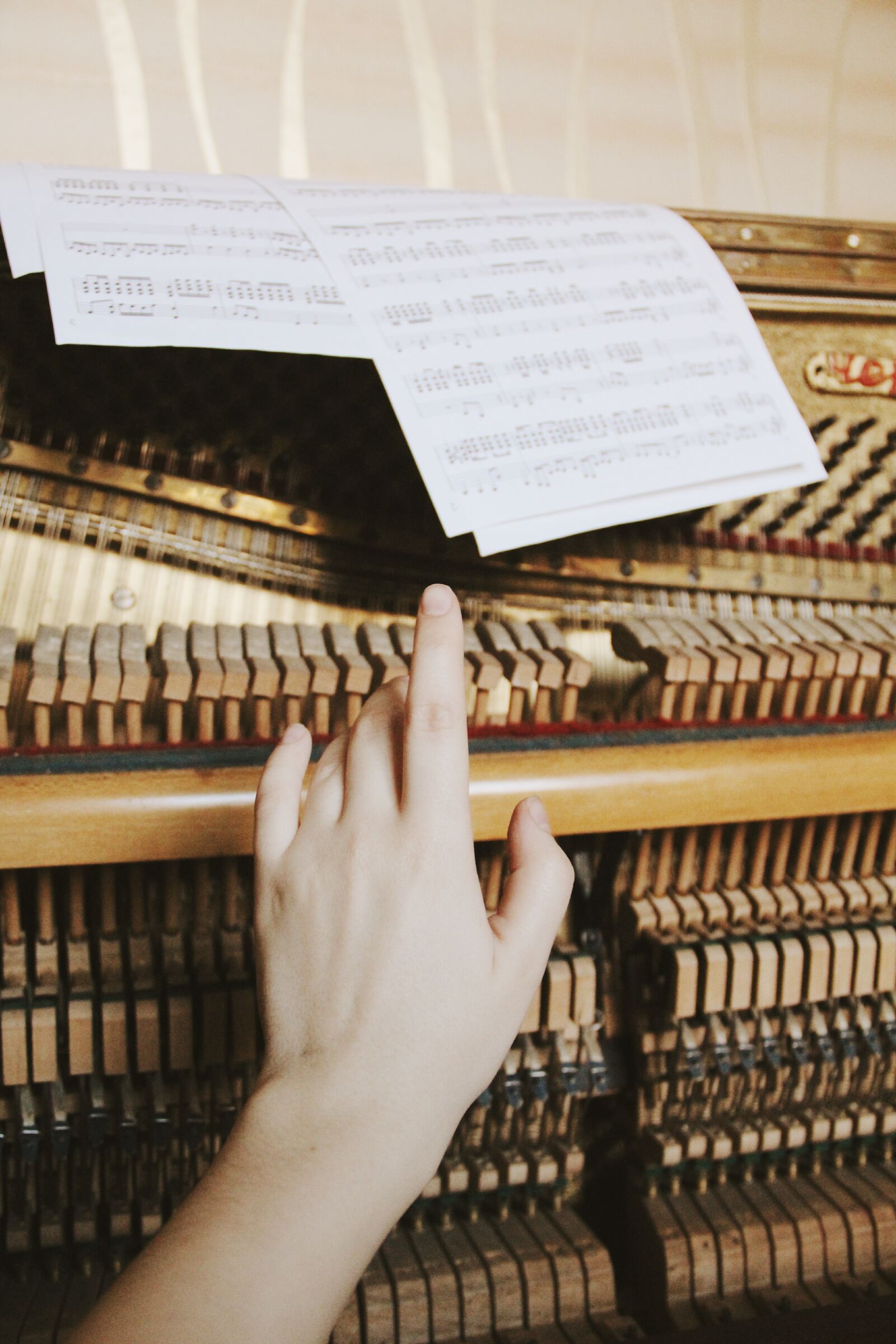 Canon EOS 600D (Rebel EOS T3i / EOS Kiss X5) sample photo. People, piano, music photography
