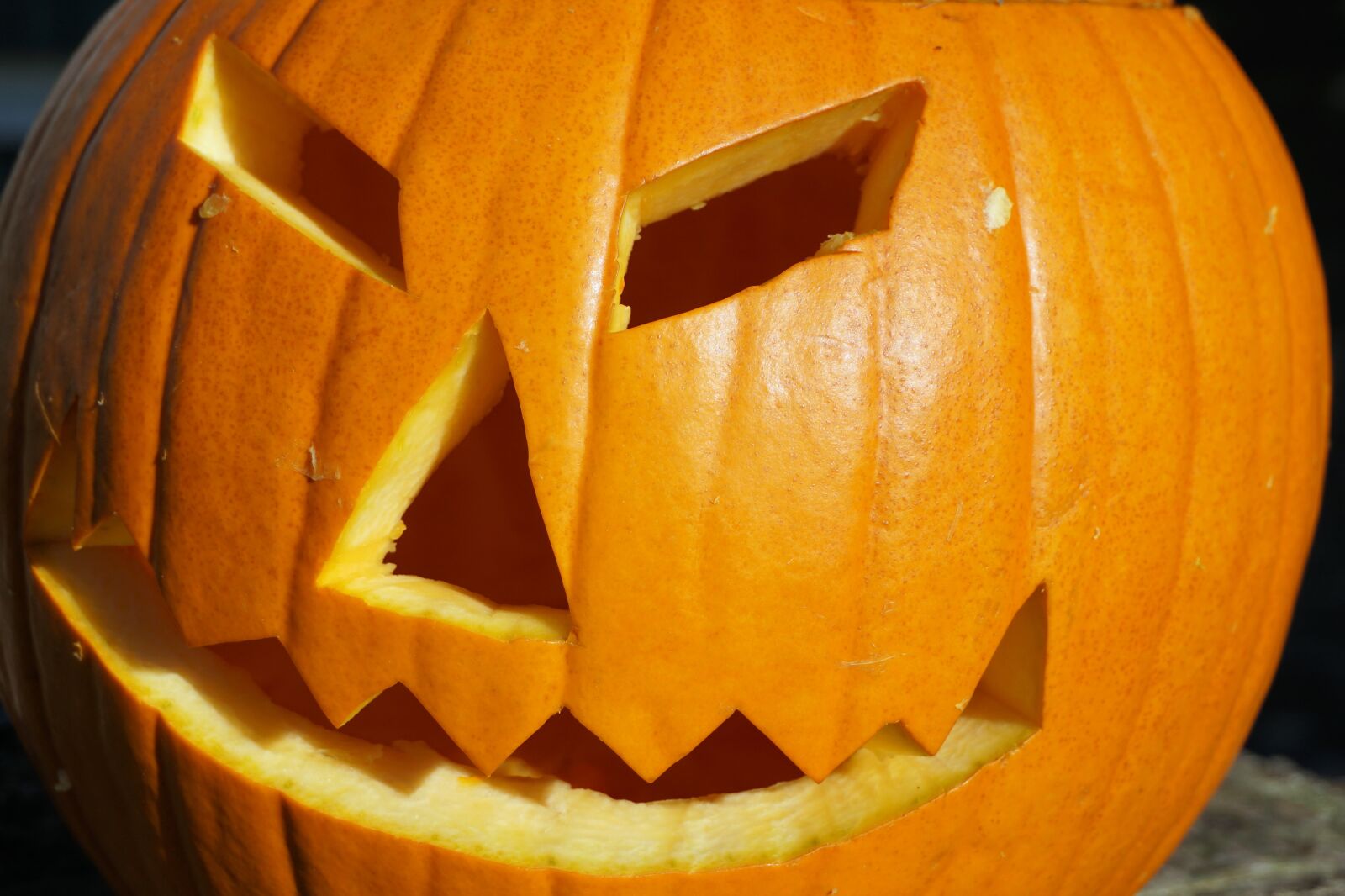 Sony a6000 sample photo. Pumpkin, halloween, autumn photography