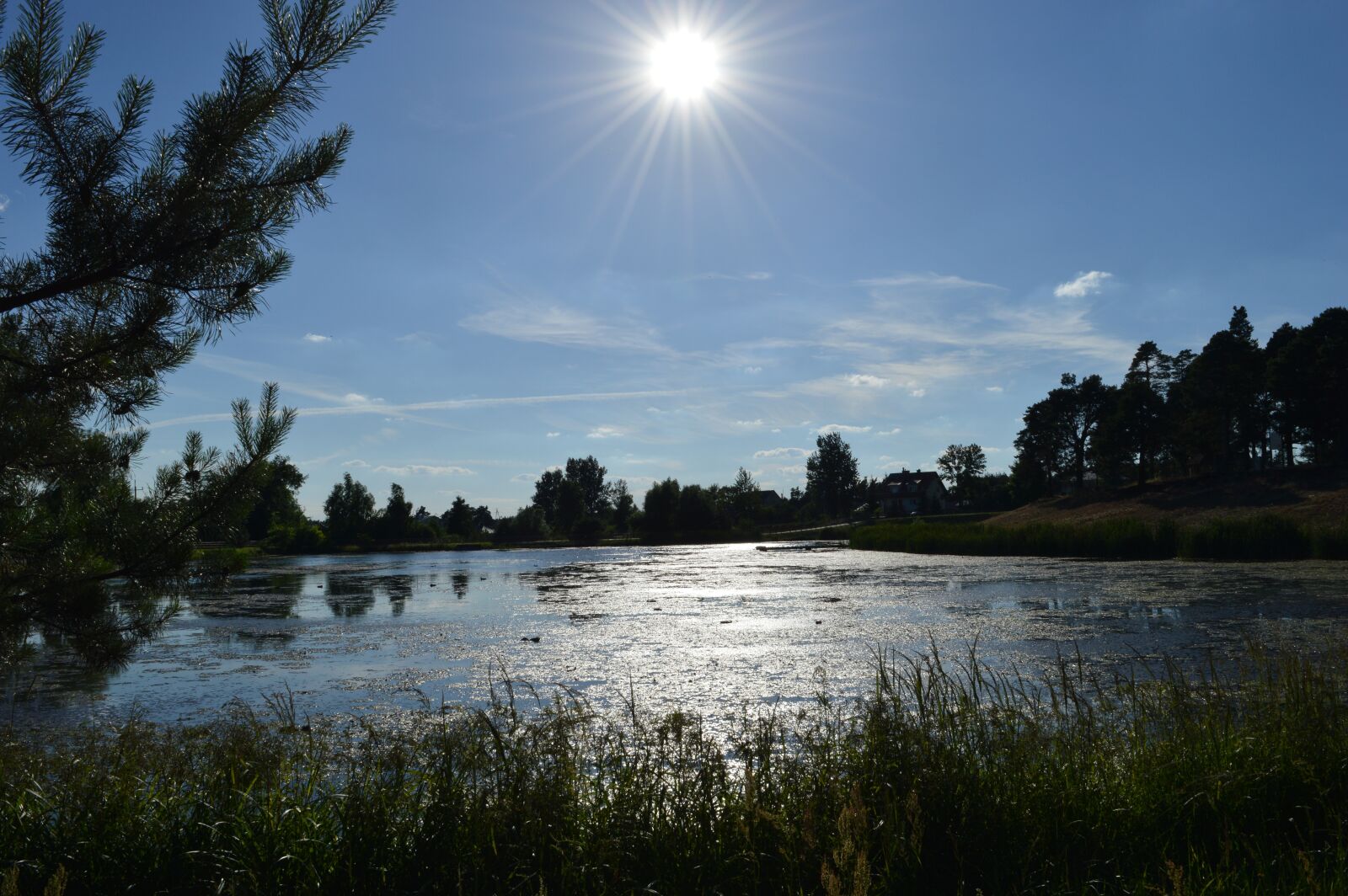 Nikon D3200 sample photo. J zef w, mite photography