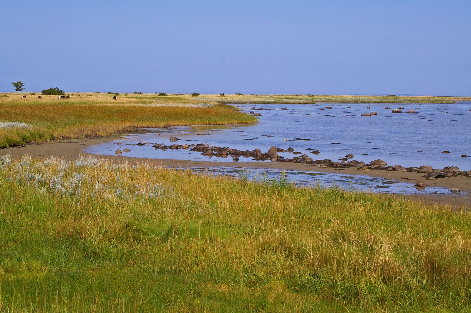 Pentax *ist DL2 sample photo. Denmark, danish coast, island photography