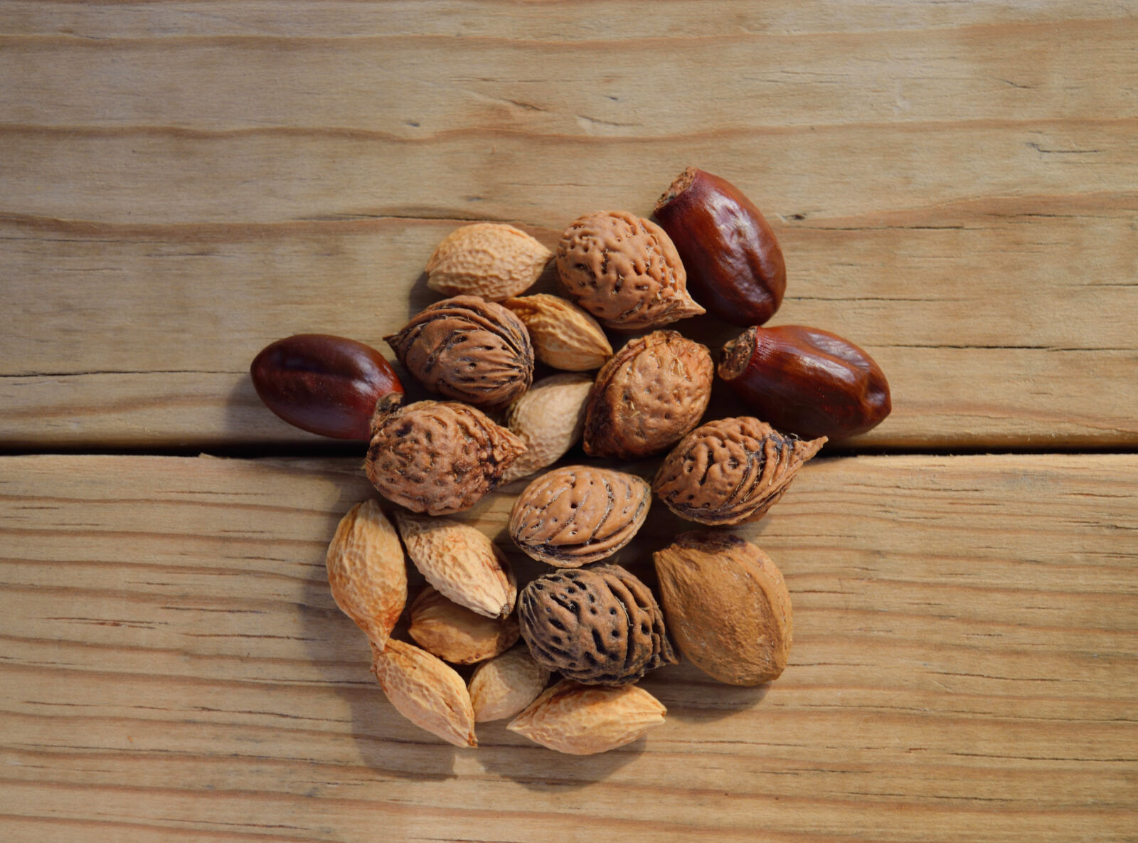 Nikon D3200 sample photo. Apricot, brown, food, fruit photography