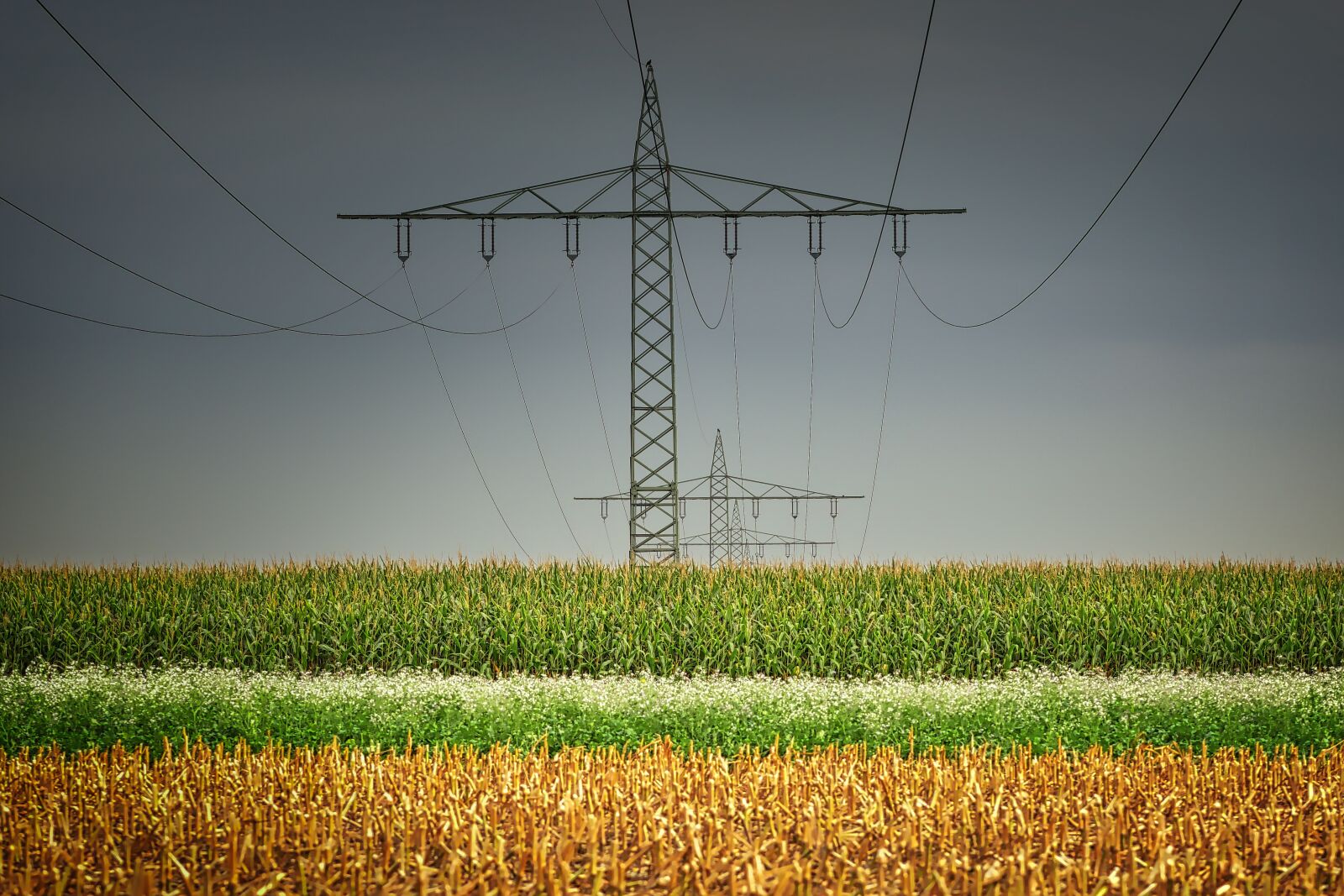 Panasonic Lumix DMC-GX8 sample photo. Current, mast, field photography