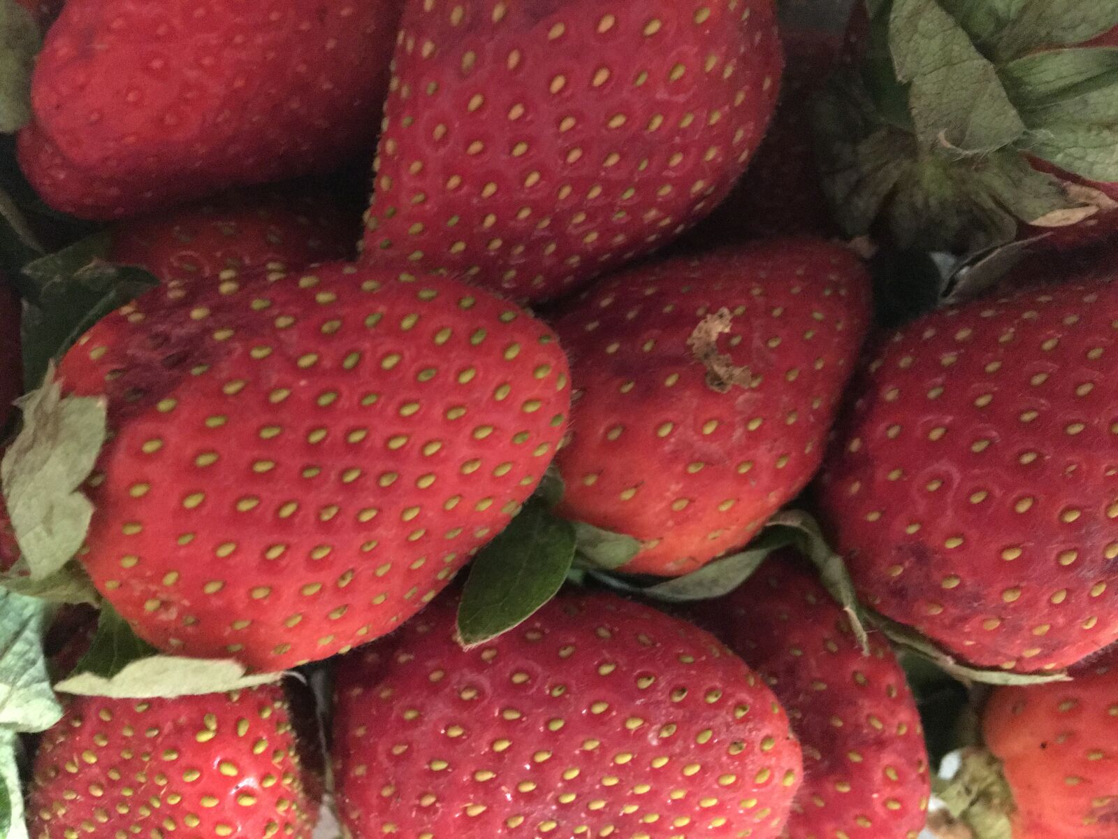 Apple iPhone 6s Plus sample photo. Fruit, good, girls, lip photography