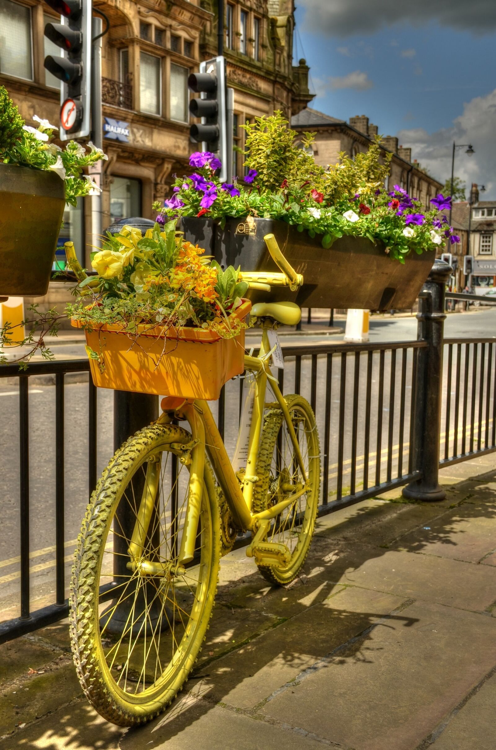 Nikon D7000 sample photo. Bicycle, flower box, floral photography