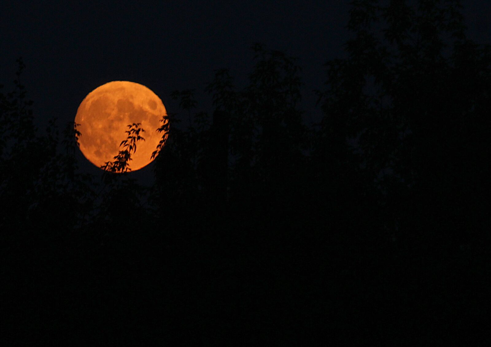 Canon EOS 1200D (EOS Rebel T5 / EOS Kiss X70 / EOS Hi) sample photo. Moon, sky, night photography