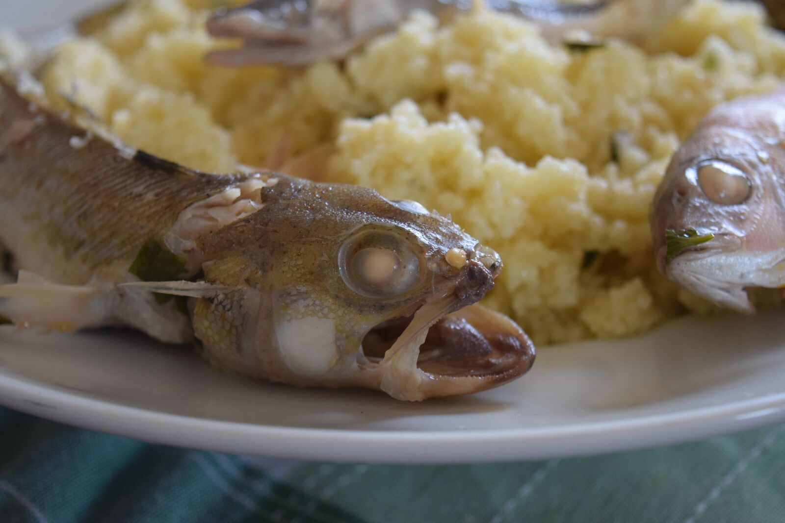 Nikon D3300 sample photo. Couscous, fish, mediterranean photography
