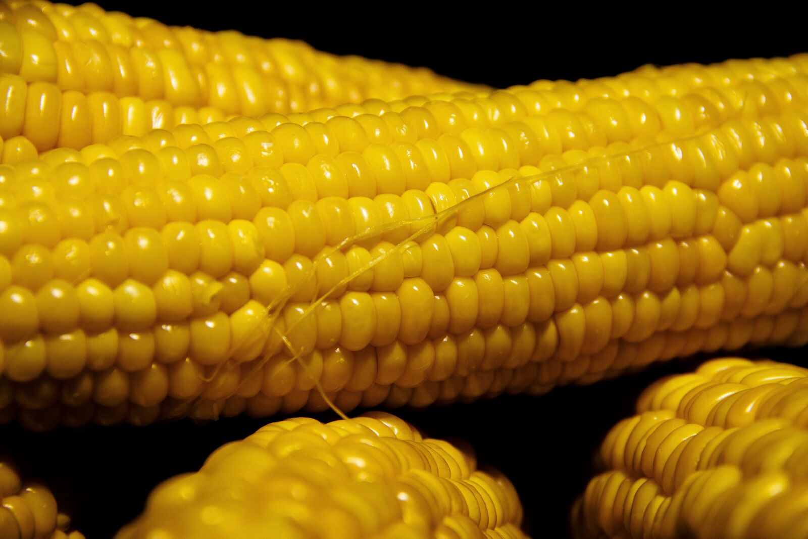 Canon EOS 650D (EOS Rebel T4i / EOS Kiss X6i) sample photo. Corn, vegetable, nutrition photography