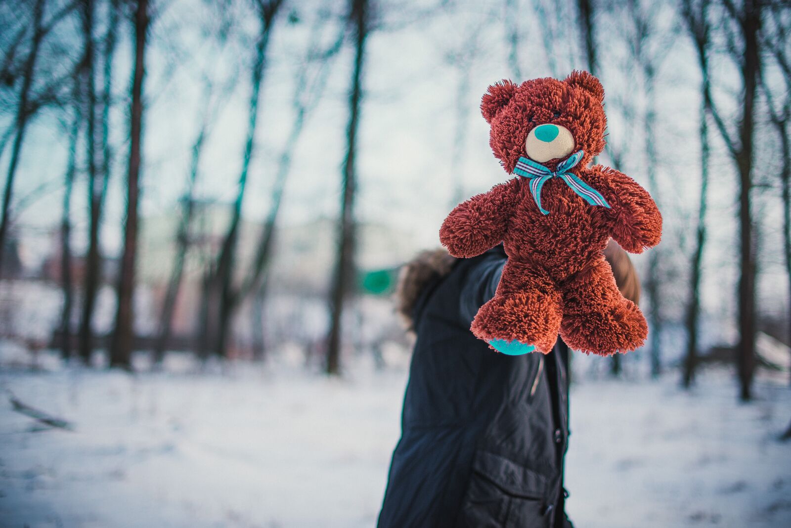 Nikon D800 sample photo. Bear, winter, winter forest photography