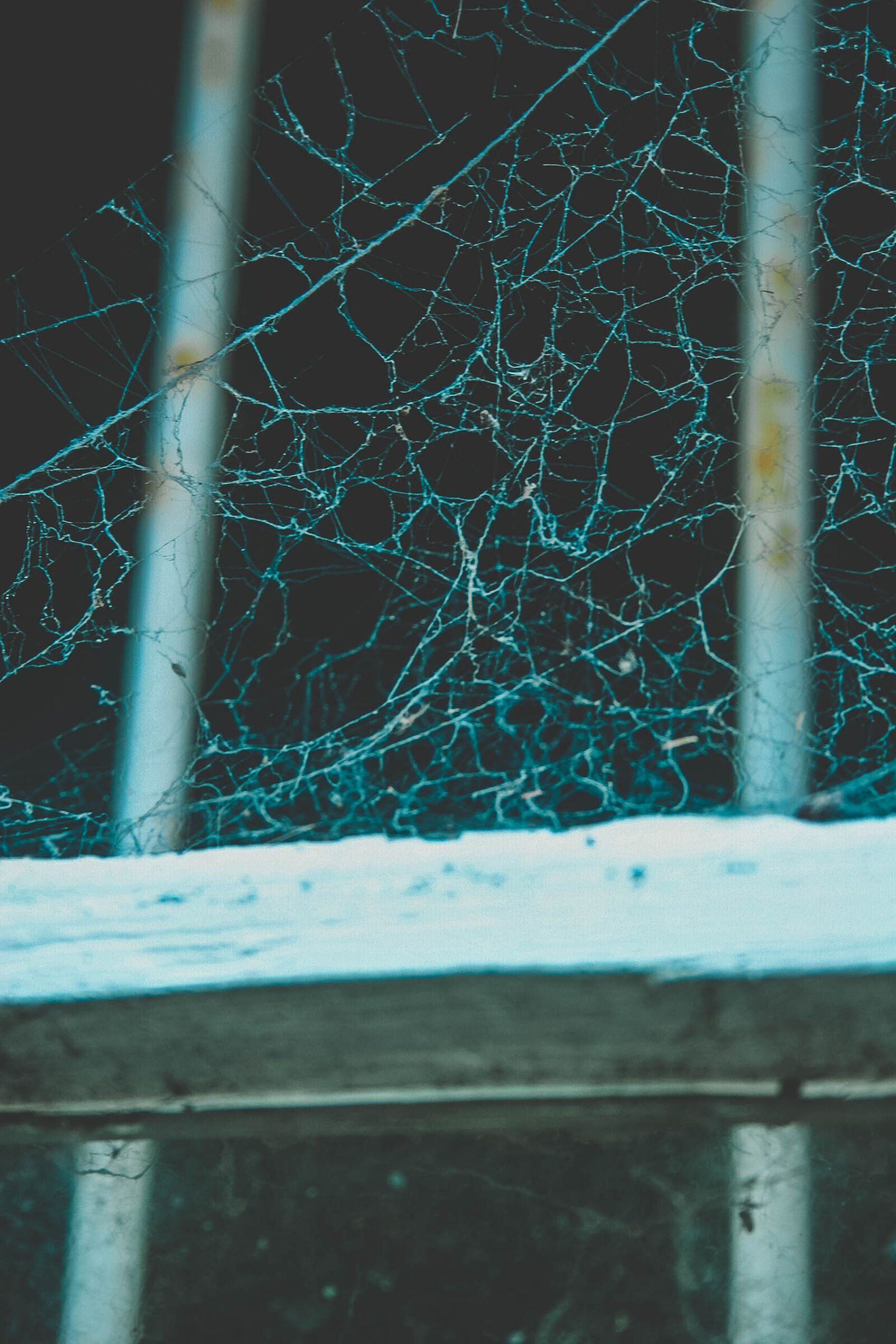 Canon EOS 20D sample photo. Barred, window, bars, haunted photography