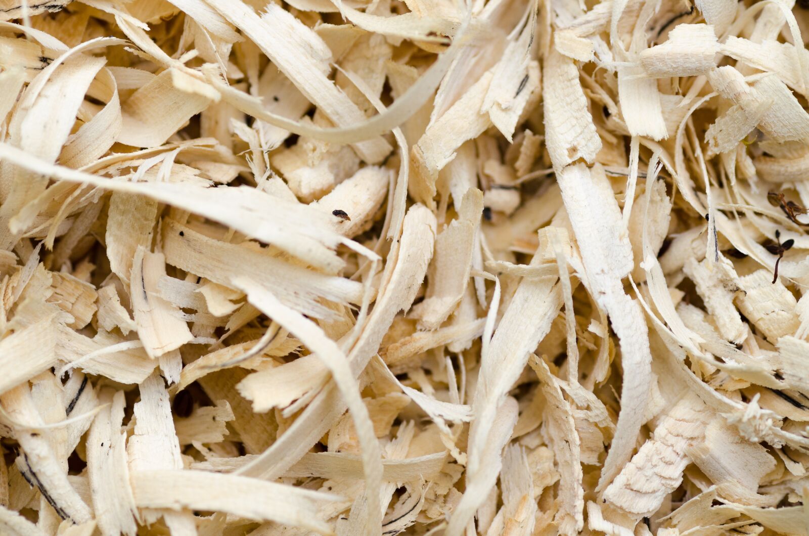 Nikon D5100 sample photo. Wood, sawdust, background photography