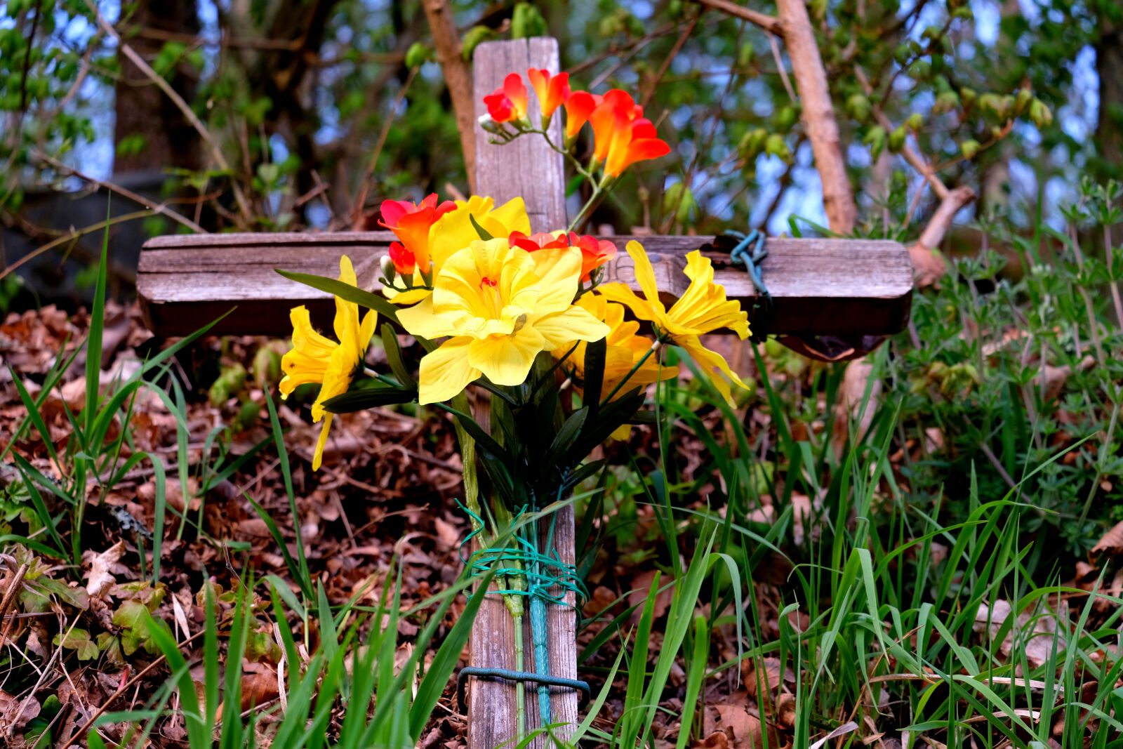 Fujifilm X-T20 sample photo. Commemorate, death, mourning photography