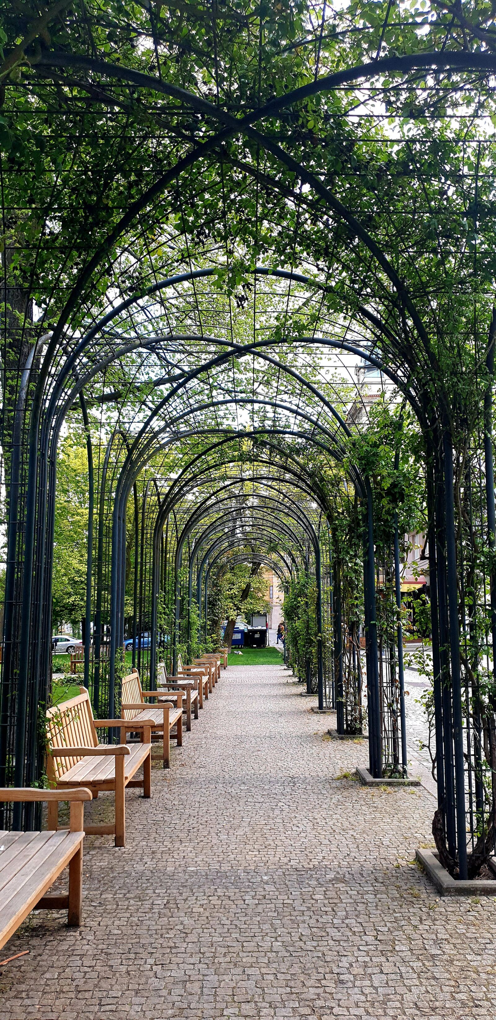 Samsung Galaxy S9 sample photo. Avenue, trees, benches photography