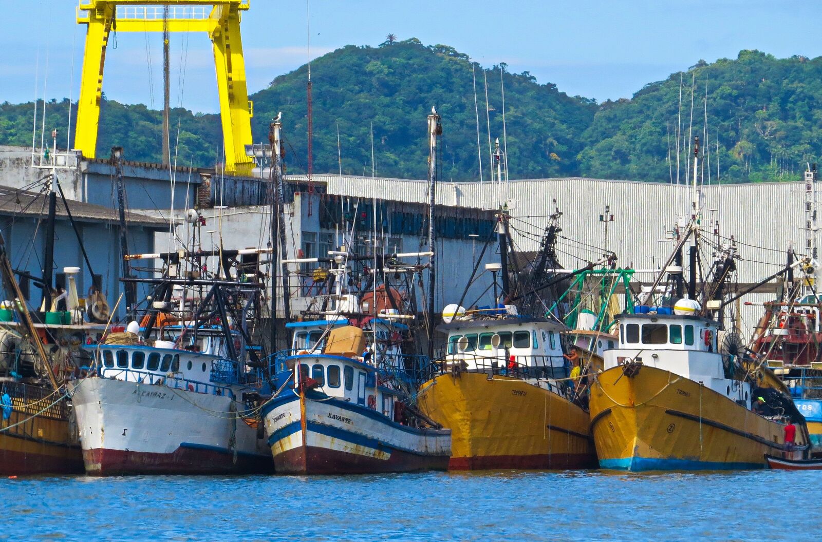 Canon PowerShot SX50 HS sample photo. Boats, harbor, sea photography