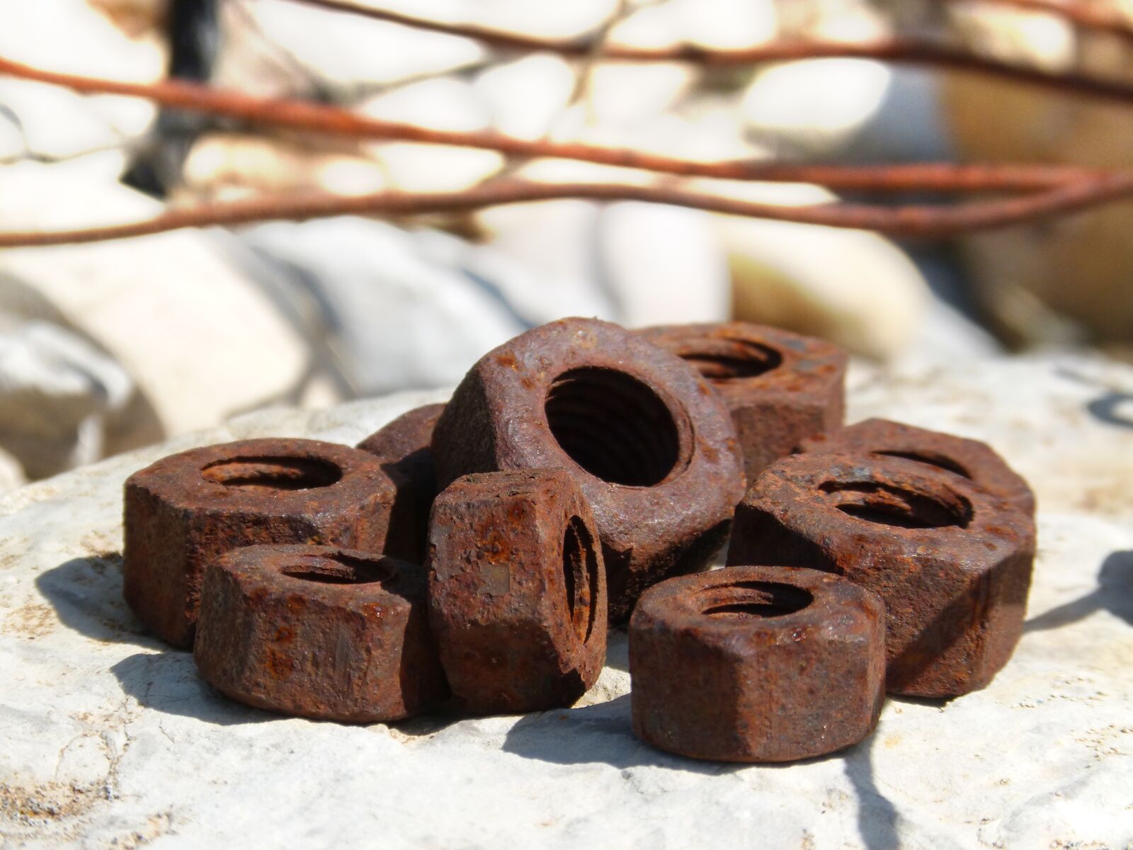 Panasonic DMC-FZ62 sample photo. Nuts, iron, rusty photography