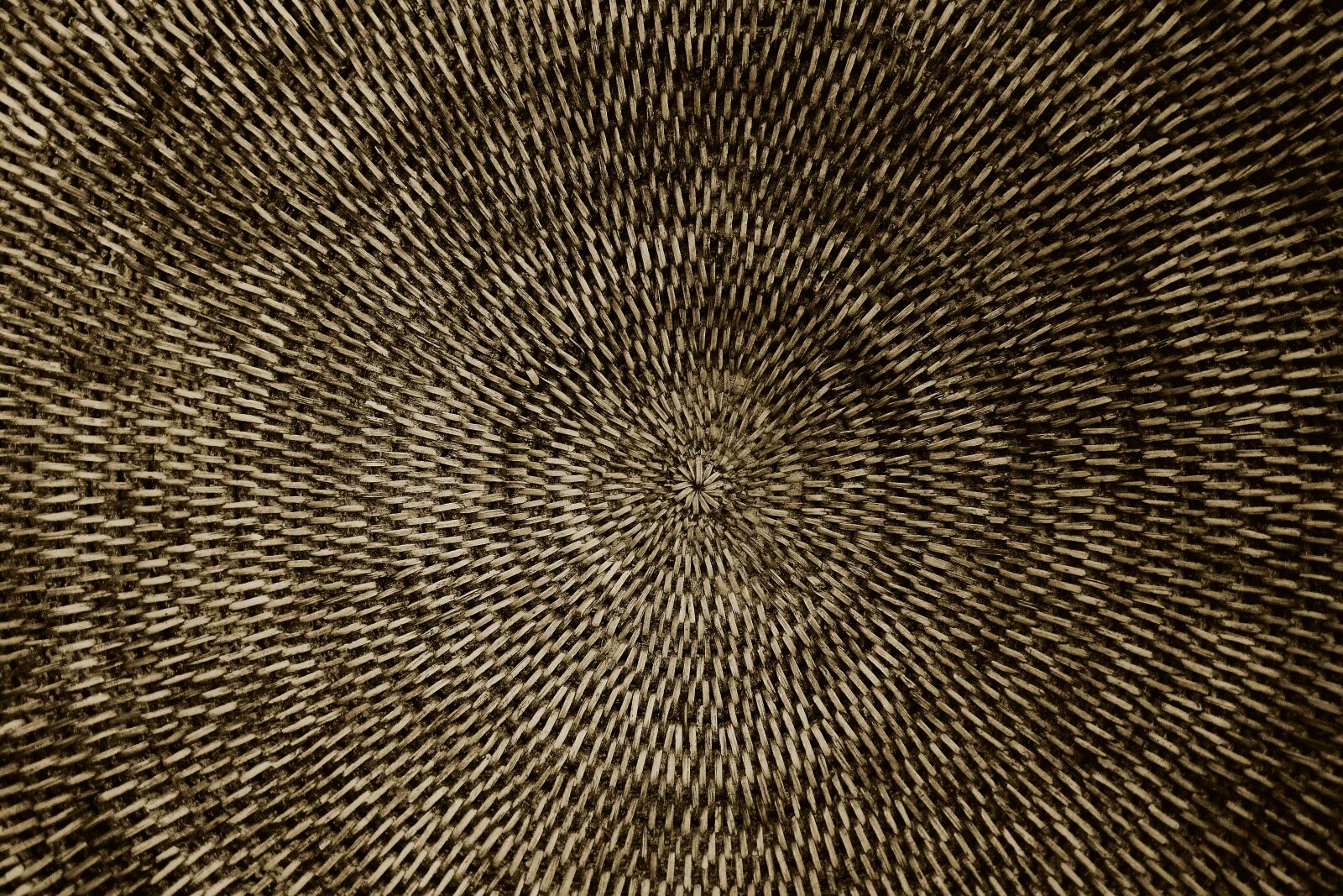 Leica V-Lux (Typ 114) sample photo. Basket, braid, woven photography
