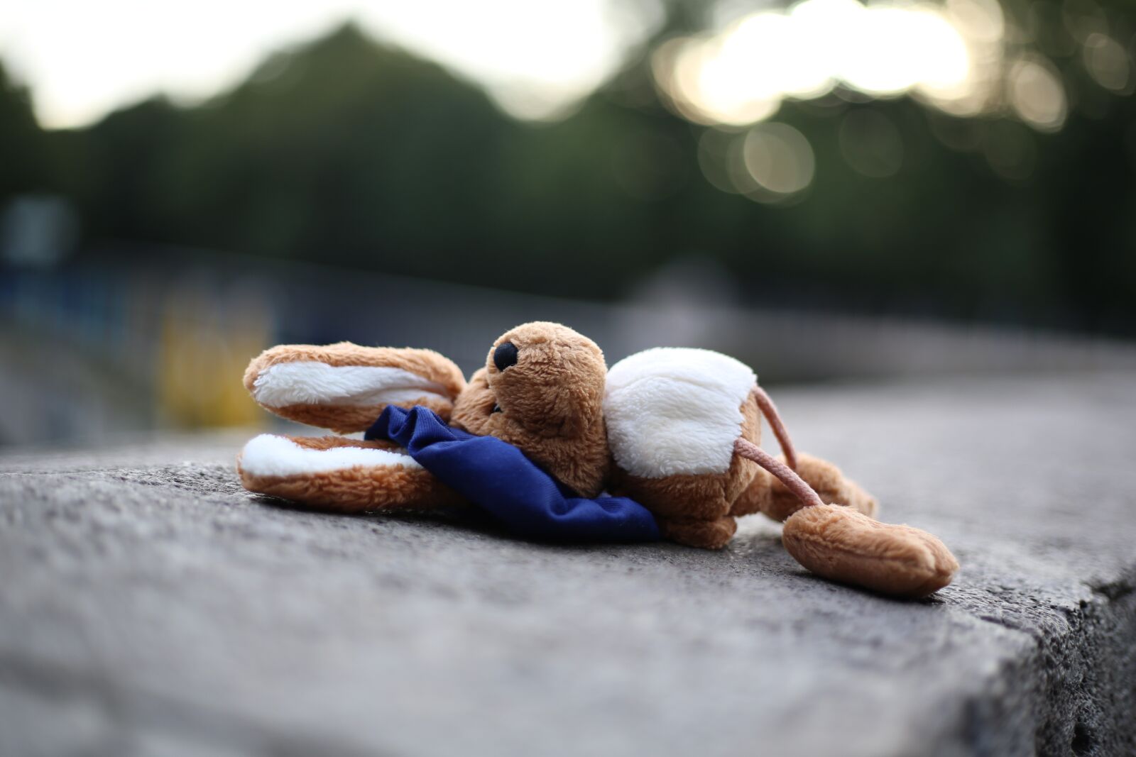 Canon EOS 5D Mark III sample photo. Soft toy, sad, stuffed photography
