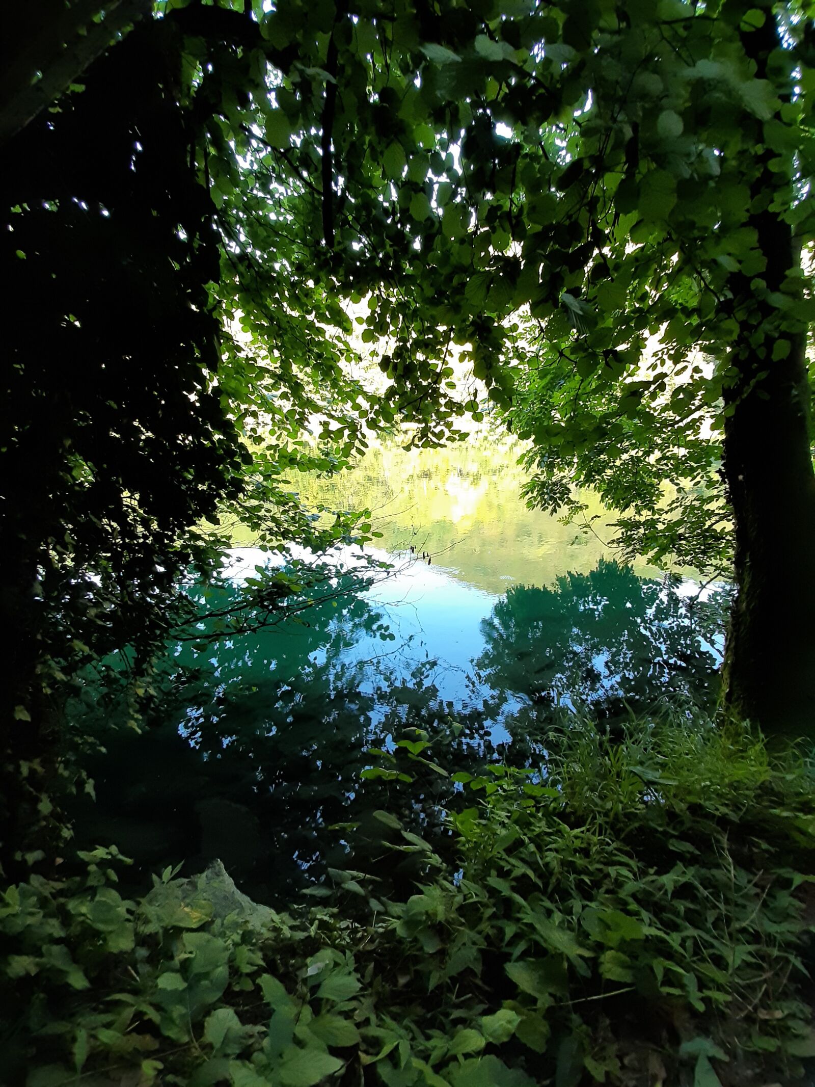 Samsung Galaxy A50 sample photo. River, nature, water photography
