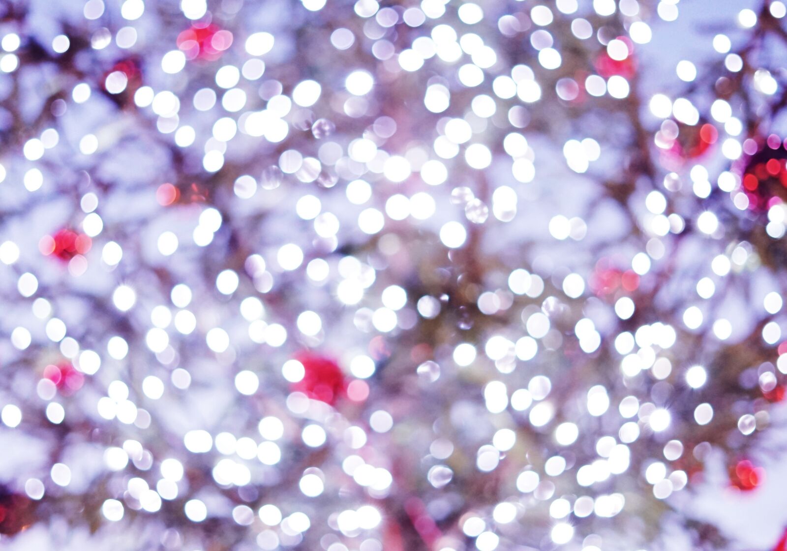 Sony a7 II + Sony FE 50mm F1.8 sample photo. Bokeh, christmas, background photography