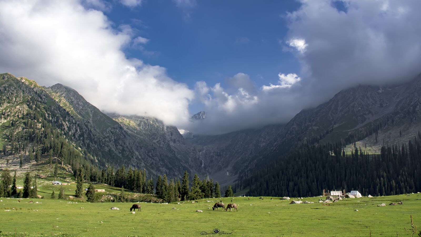 Nikon D7100 sample photo. Meadows, upperdir, kpk photography