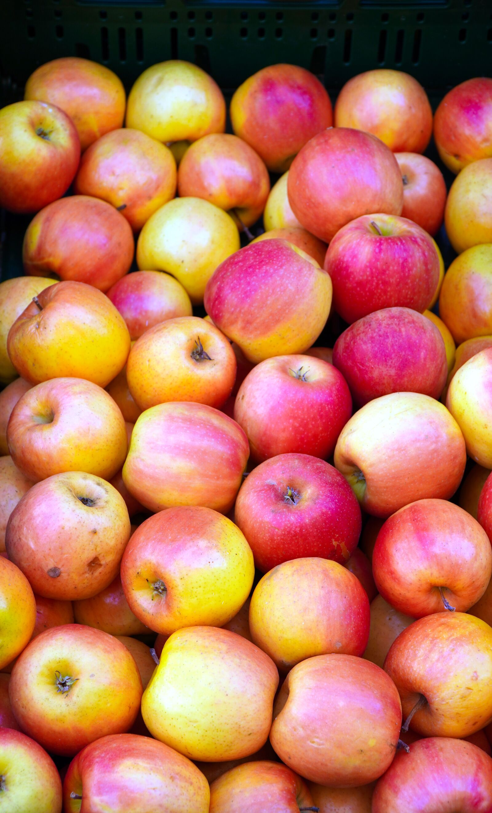 Sony E PZ 18-105mm F4 G OSS sample photo. Apple, harvest, fresh photography