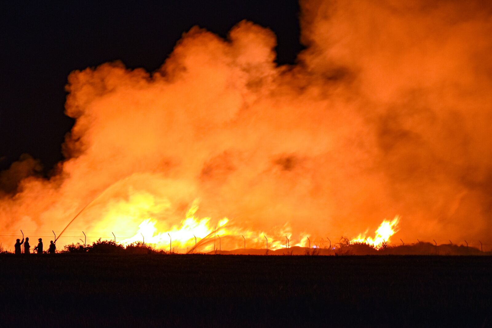 Nikon D5600 sample photo. Fire, flame, yellow photography
