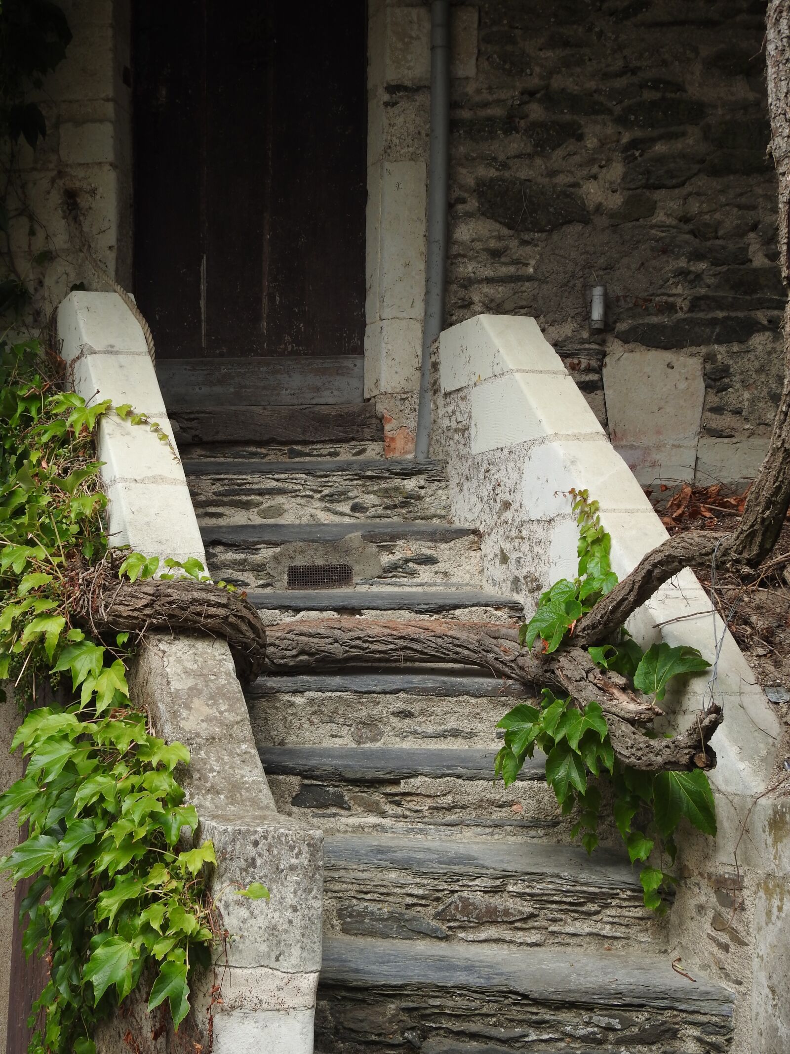 Nikon Coolpix P900 sample photo. Staircase, former, pierre photography