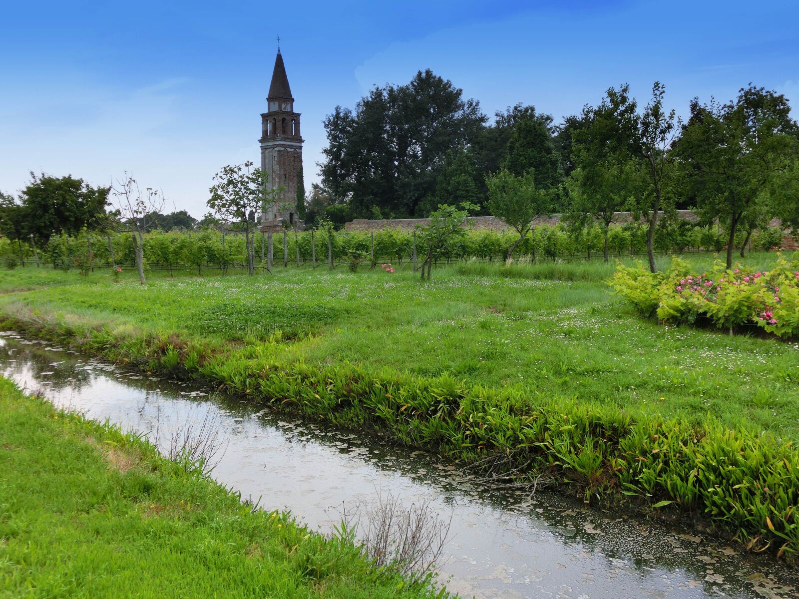 Casio Ex Zr0 Sample Photo Rjhzxa221y Explorecams