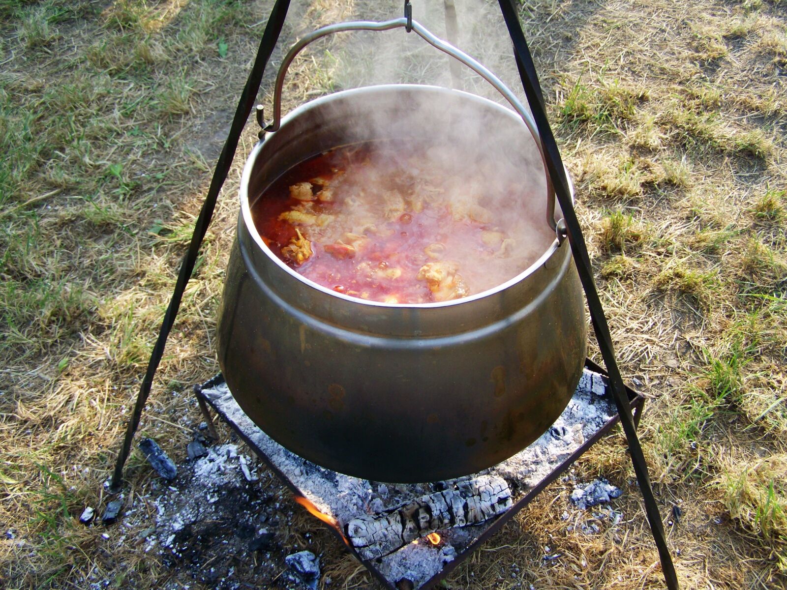Kodak EASYSHARE ZD710 ZOOM DIGITAL CAMERA sample photo. Kettle goulash, food, cooking photography