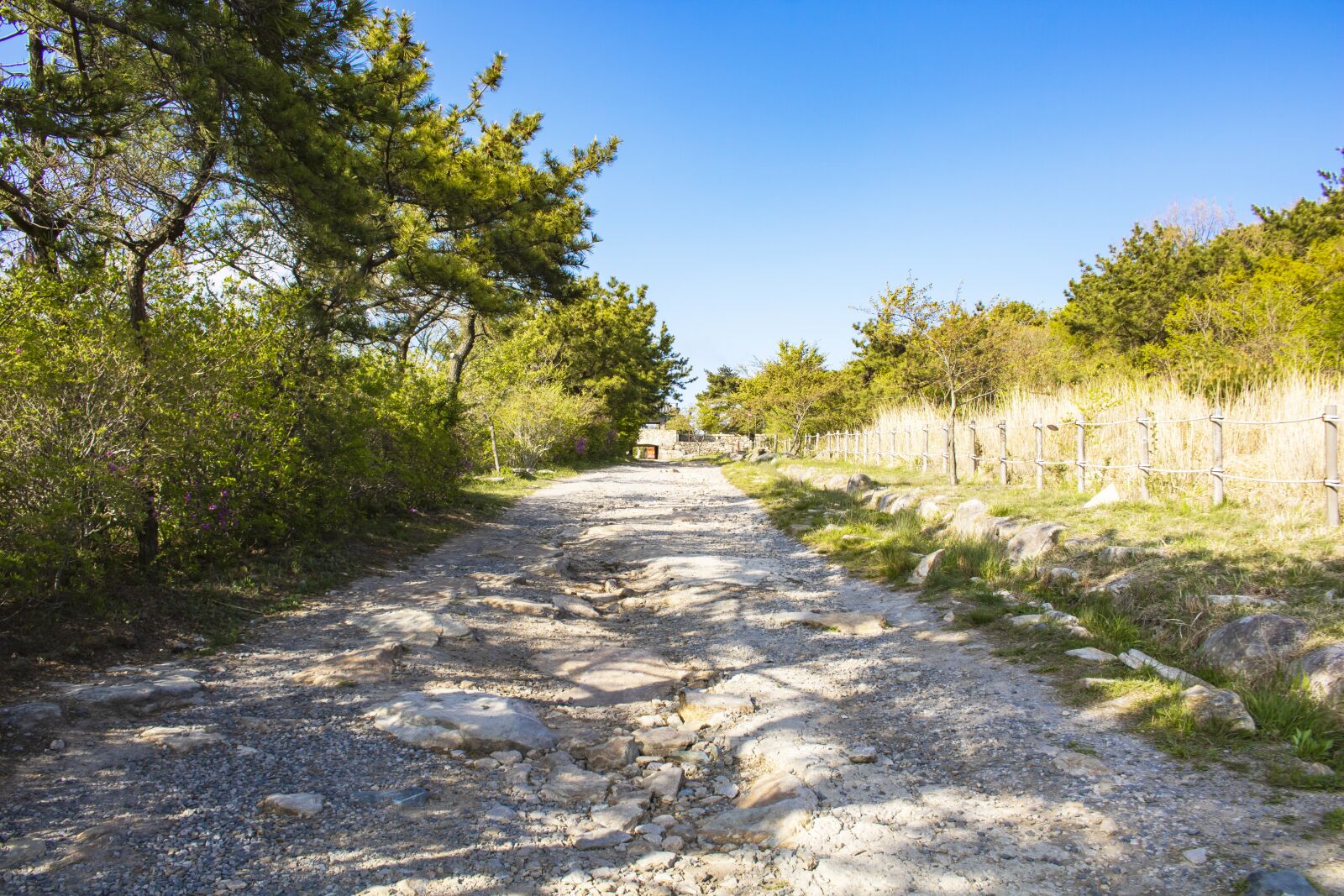 Canon EOS 750D (EOS Rebel T6i / EOS Kiss X8i) sample photo. Road, walk, mountain photography