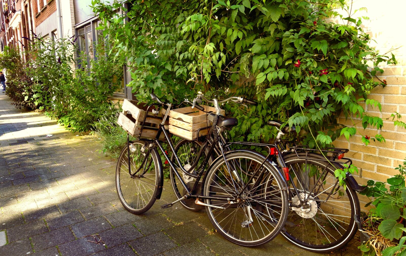 Sony Cyber-shot DSC-RX100 sample photo. Bicycles, city, parked photography