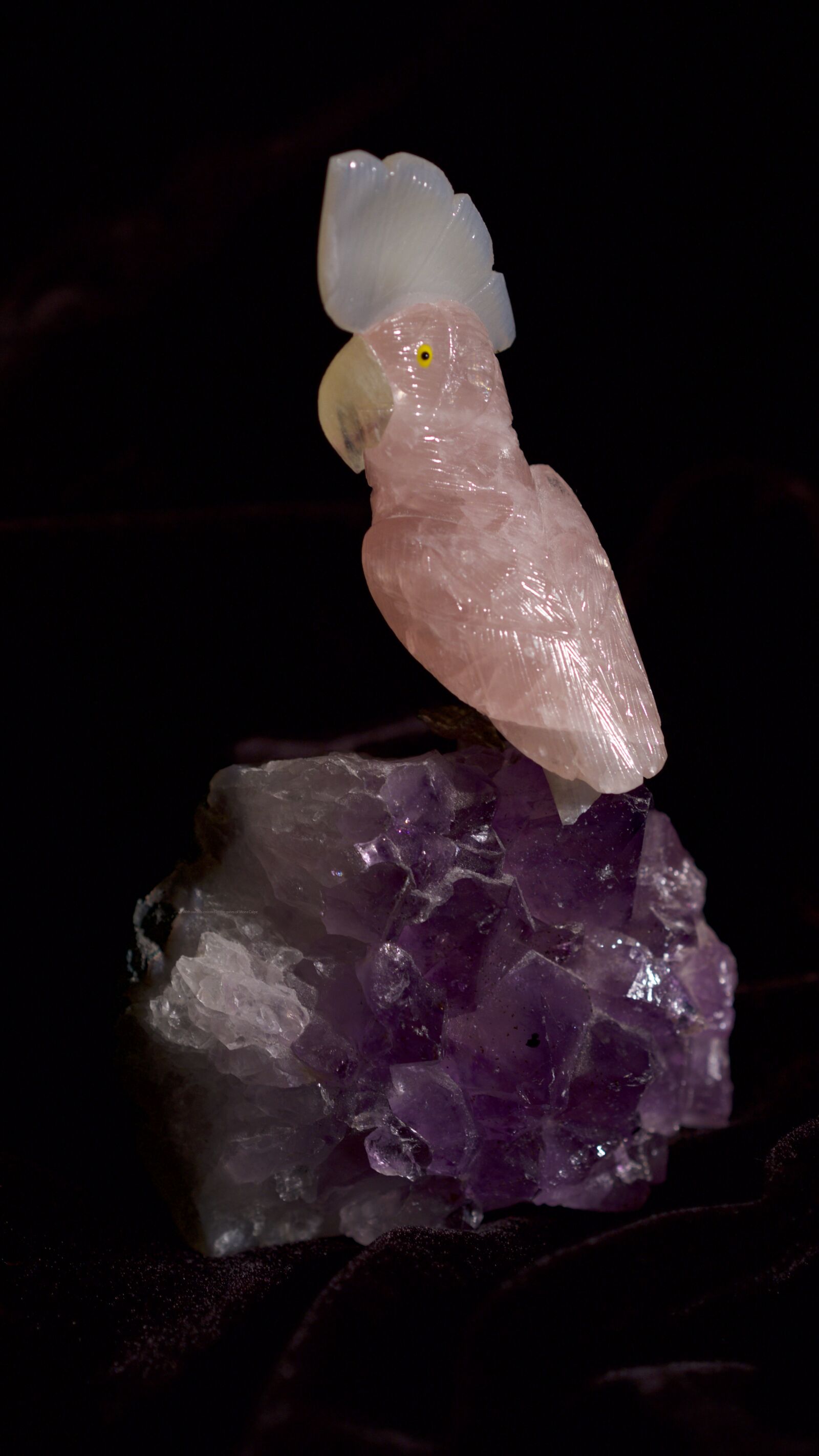 Panasonic Lumix DMC-GH4 sample photo. Quartz, parrot, crystal photography