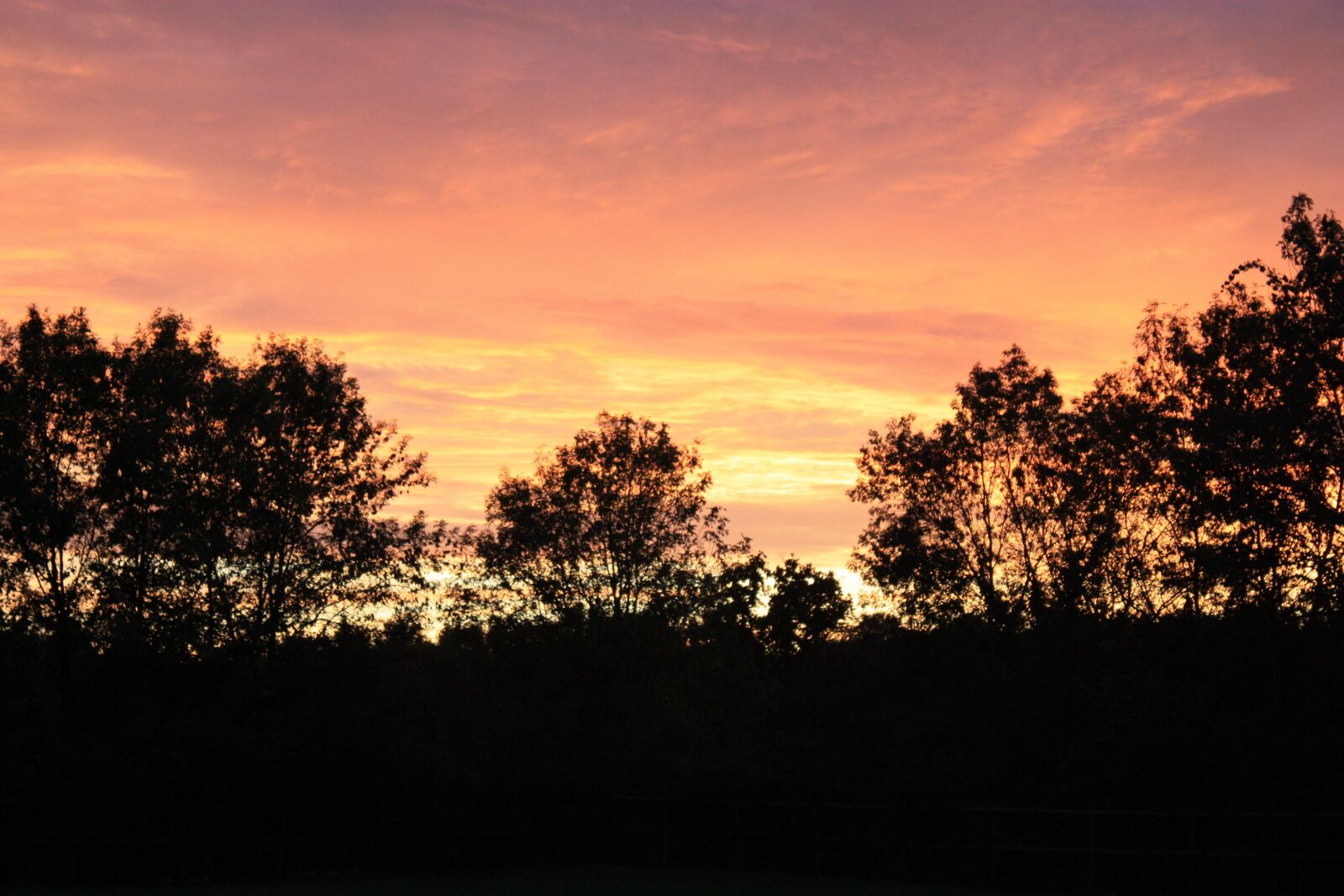 Canon EOS 450D (EOS Rebel XSi / EOS Kiss X2) sample photo. Sunset, sky, landscape photography